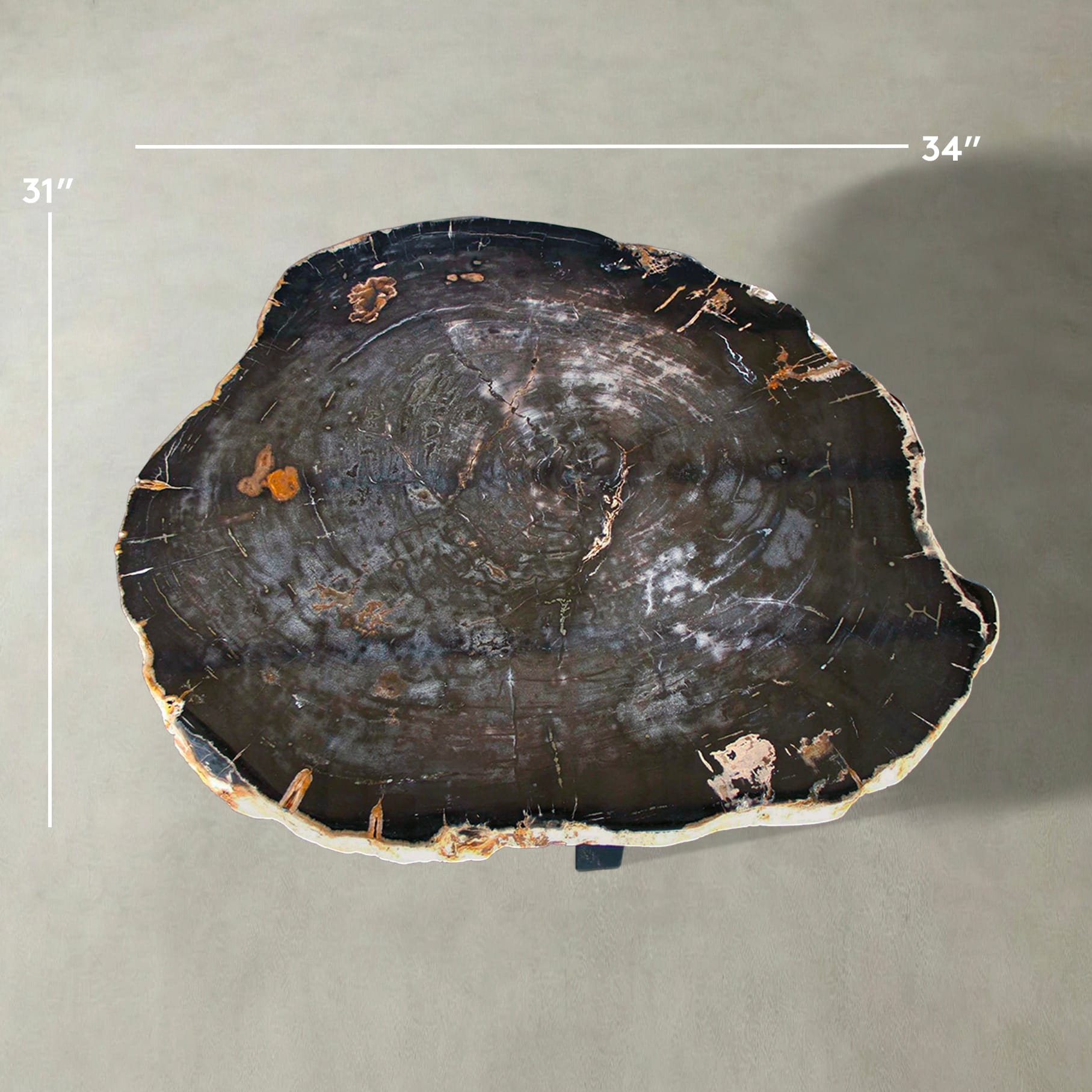 Kalifano Petrified Wood Natural Petrified Wood Round Slab Coffee Table from Indonesia - 34" / 144 lbs PWT5700.002
