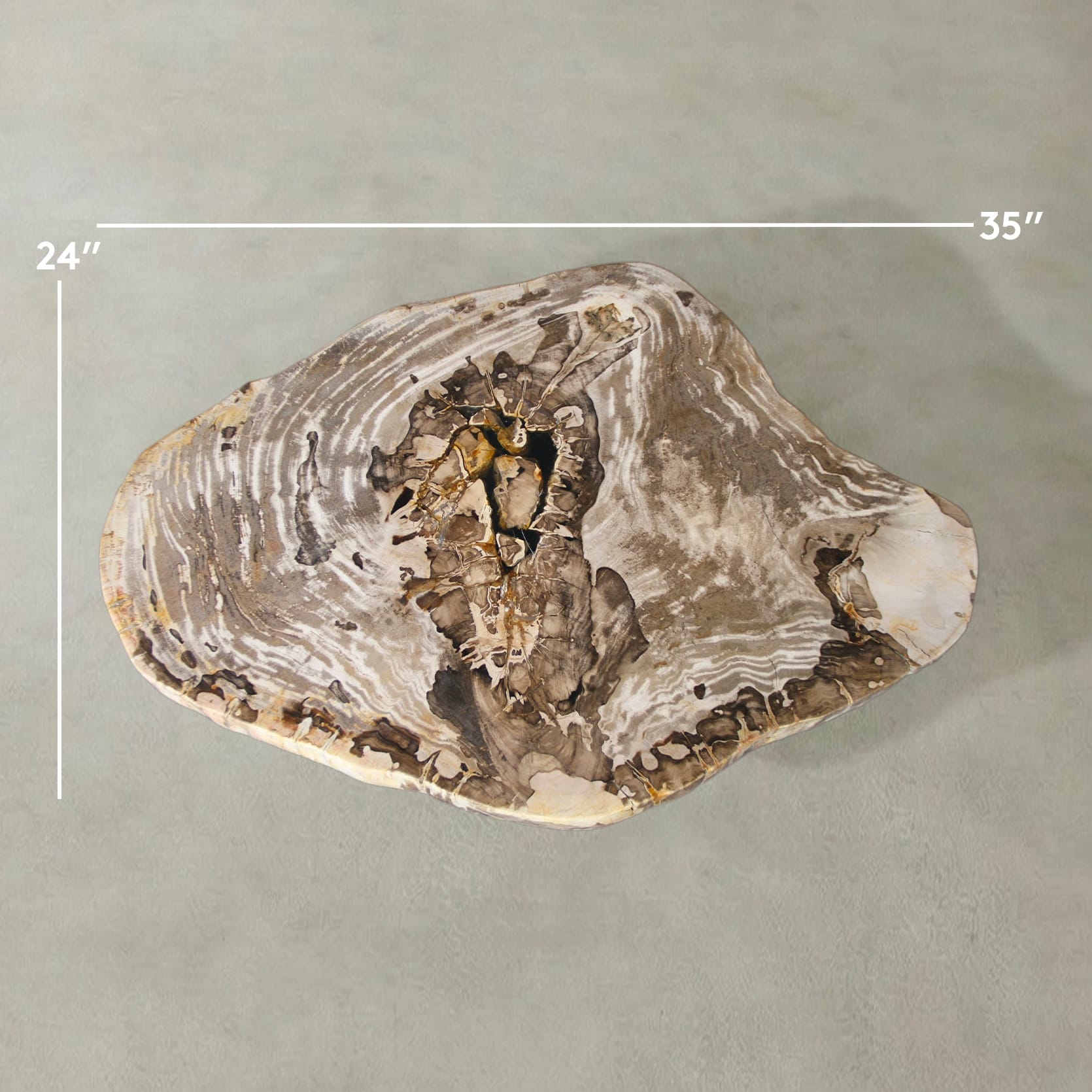 Kalifano Petrified Wood Natural Petrified Wood Round Slab Coffee Table from Indonesia - 35" / 106 lbs PWT4400.003