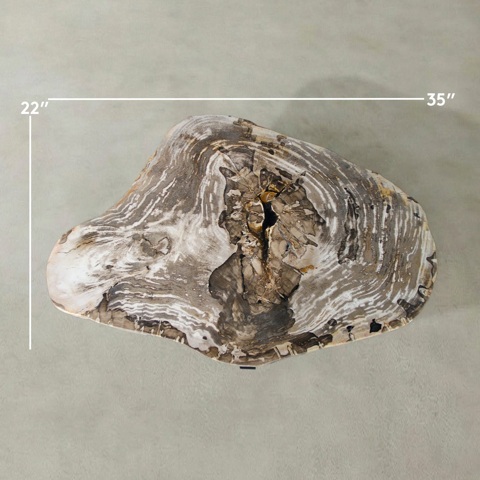 Kalifano Petrified Wood Natural Petrified Wood Round Slab Coffee Table from Indonesia - 35" / 111 lbs PWT4500.004