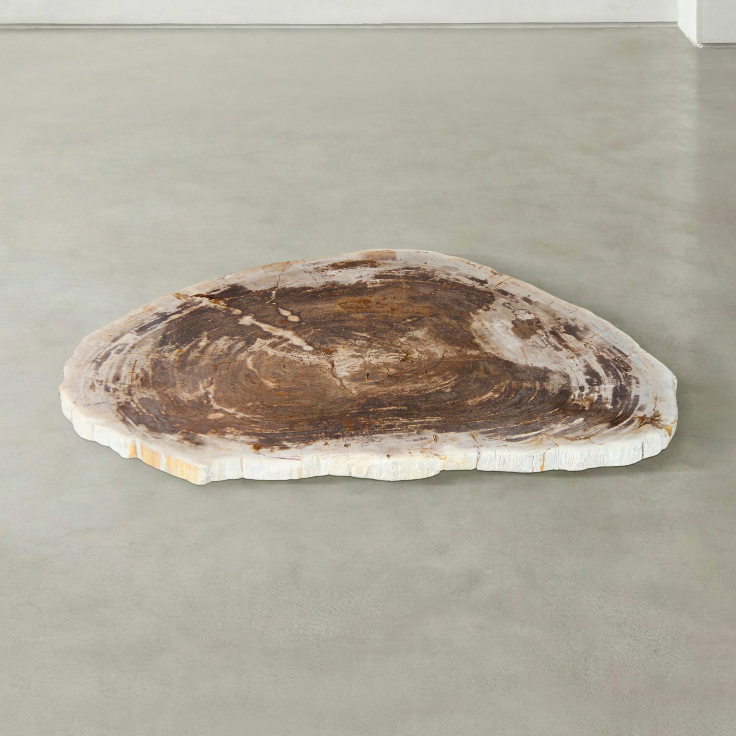 Kalifano Petrified Wood Natural Petrified Wood Round Slab Coffee Table from Indonesia - 37" / 97 lbs PWT4100.004