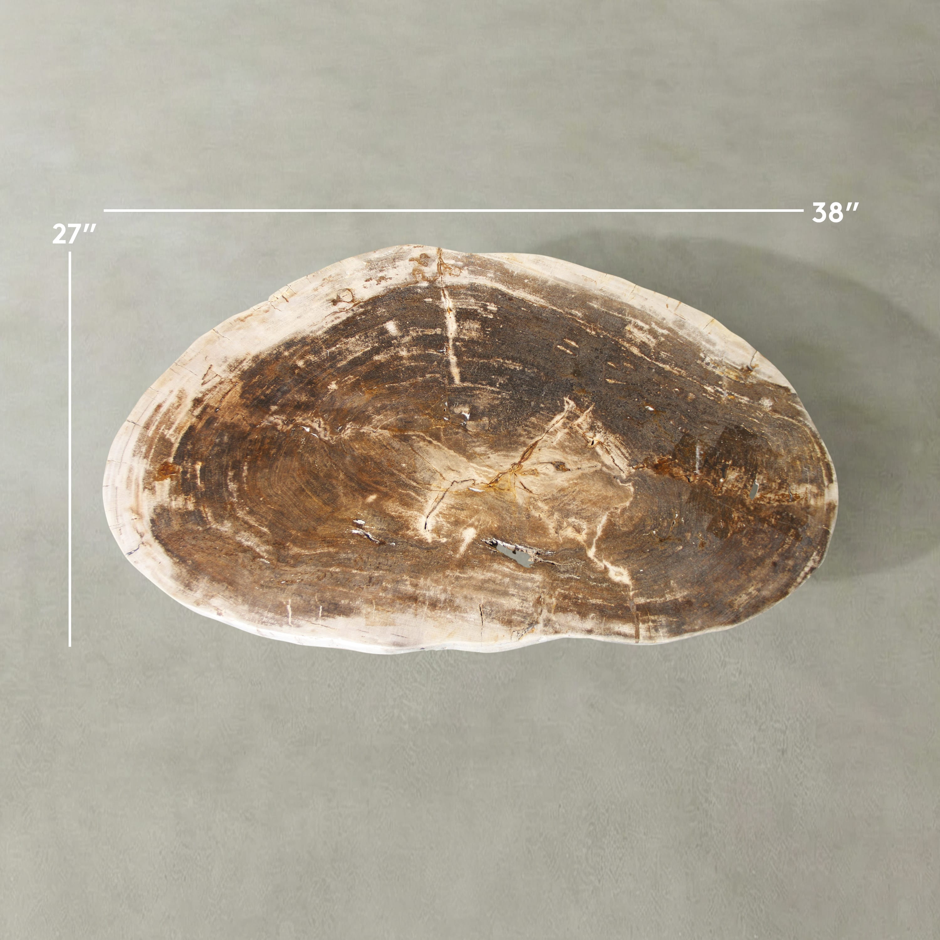 Kalifano Petrified Wood Natural Petrified Wood Round Slab Coffee Table from Indonesia - 38" / 133 lbs PWT5300.004