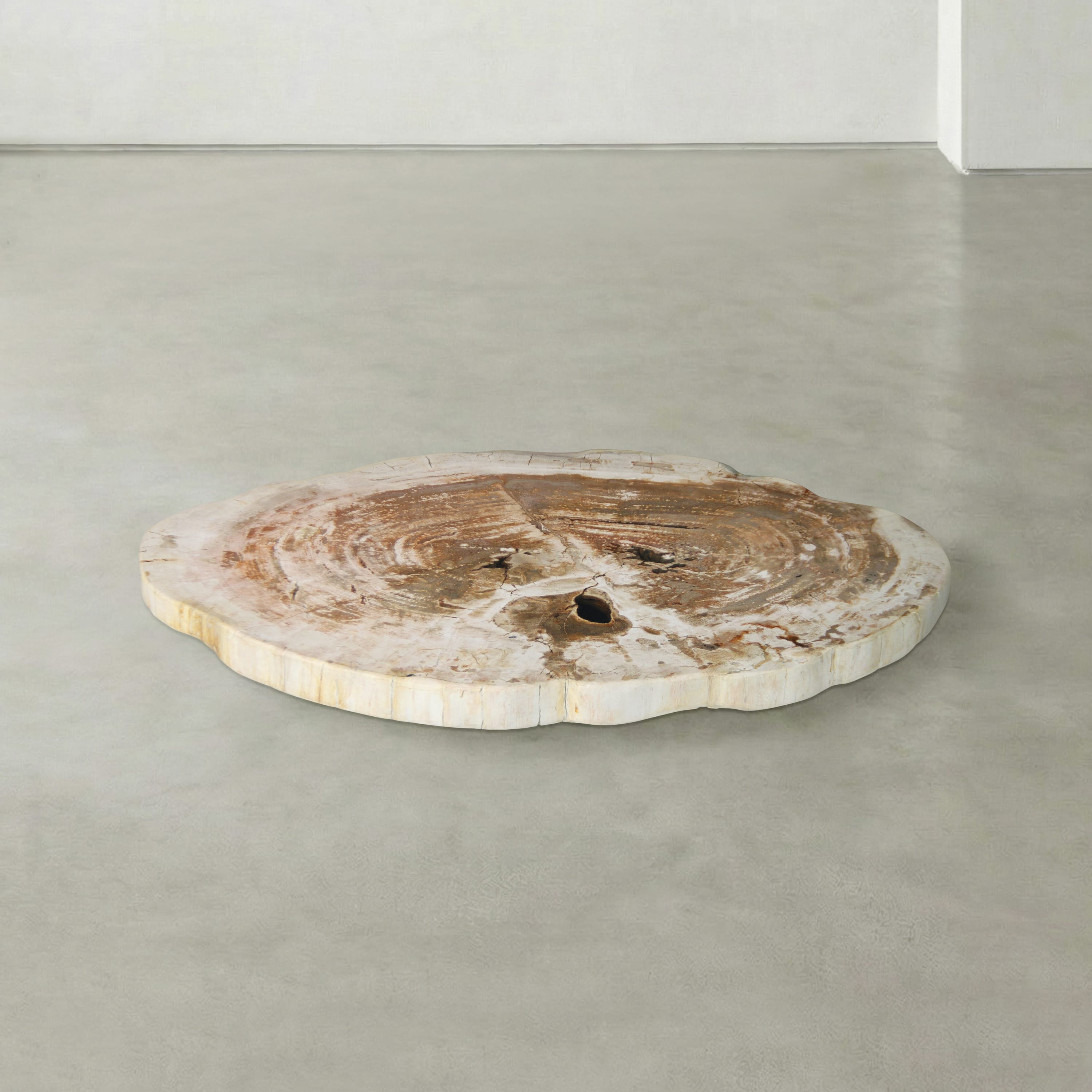 Kalifano Petrified Wood Natural Petrified Wood Round Slab Coffee Table from Indonesia - 39" / 113 lbs PWT4600.005