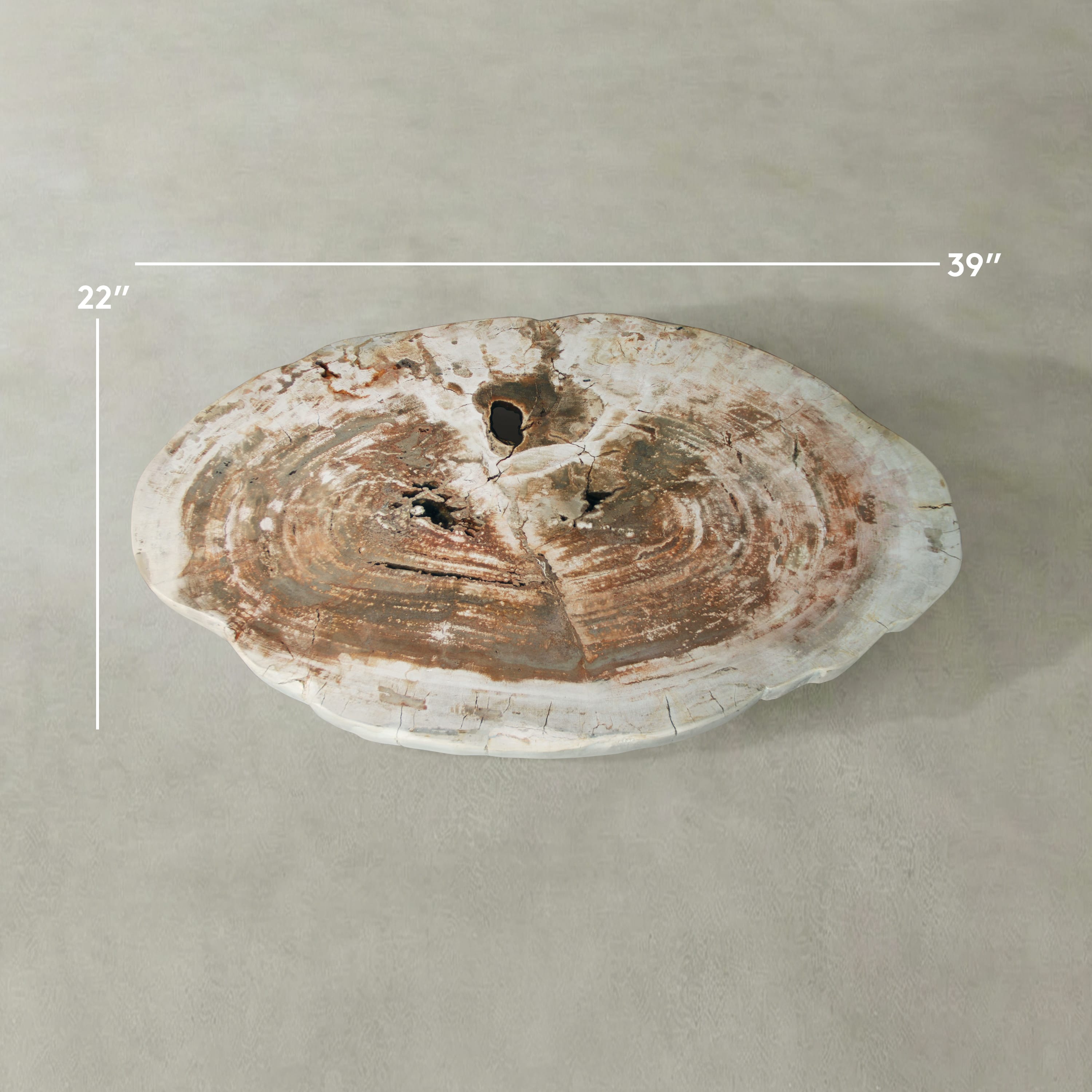Kalifano Petrified Wood Natural Petrified Wood Round Slab Coffee Table from Indonesia - 39" / 113 lbs PWT4600.005