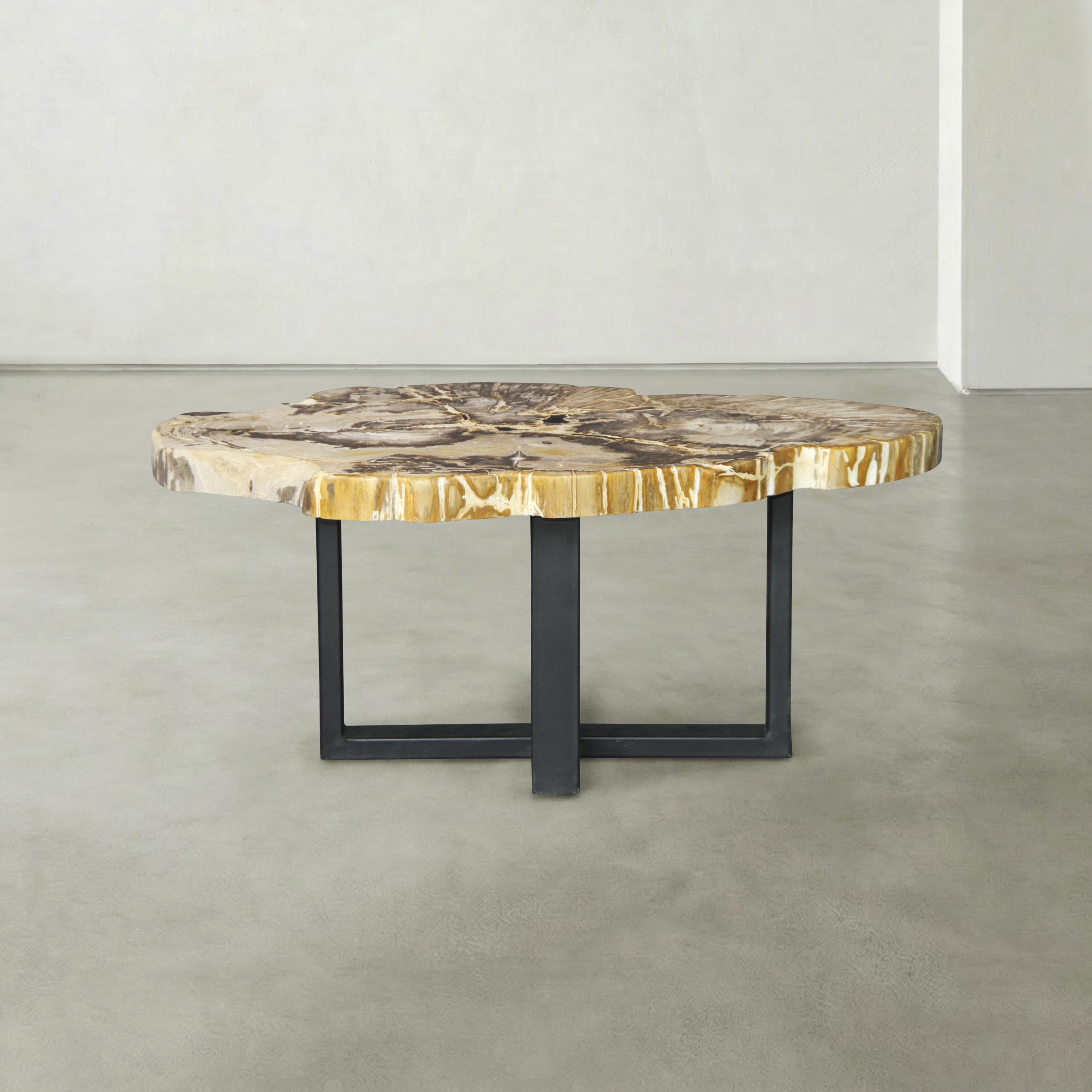 Kalifano Petrified Wood Natural Petrified Wood Round Slab Coffee Table from Indonesia - 39" / 119 lbs PWT4900.003