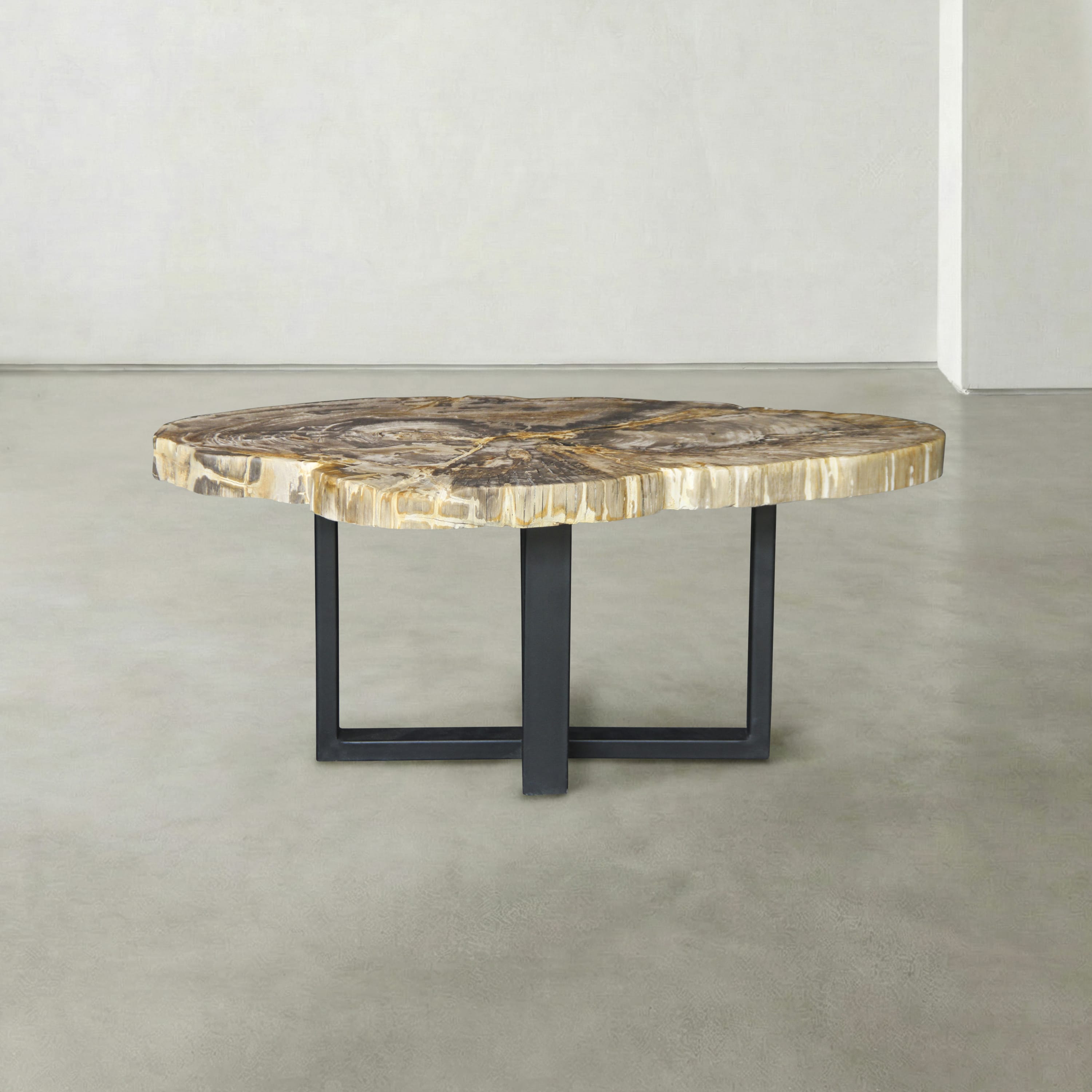 Kalifano Petrified Wood Natural Petrified Wood Round Slab Coffee Table from Indonesia - 39" / 130 lbs PWT5300.002
