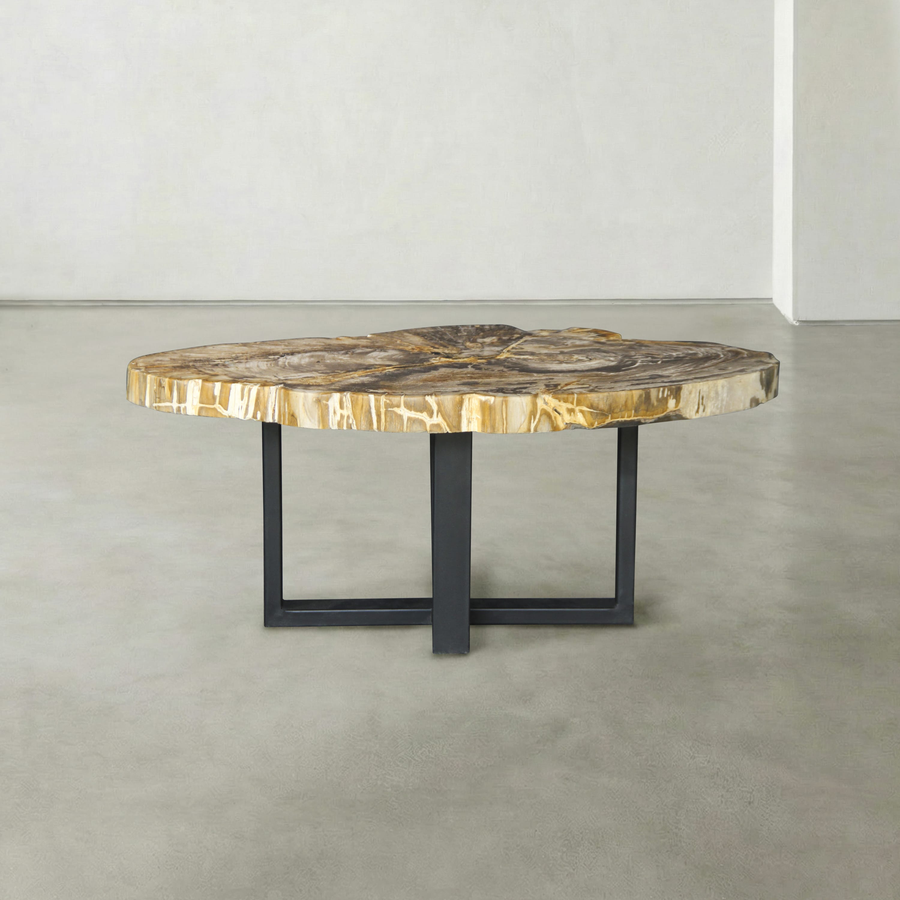 Kalifano Petrified Wood Natural Petrified Wood Round Slab Coffee Table from Indonesia - 39" / 130 lbs PWT5300.002