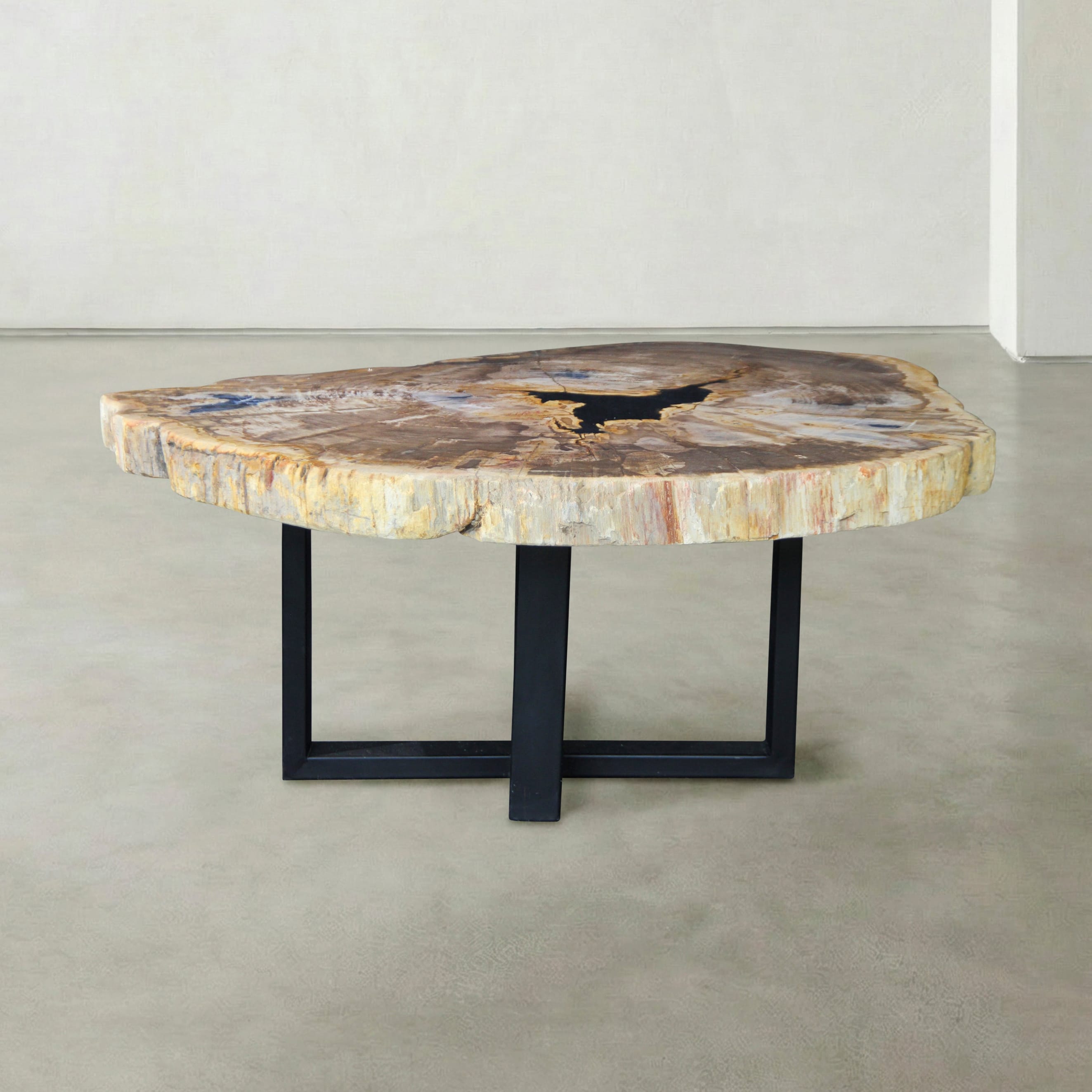 Kalifano Petrified Wood Natural Petrified Wood Round Slab Coffee Table from Indonesia - 39" / 227 lbs PWT8800.006