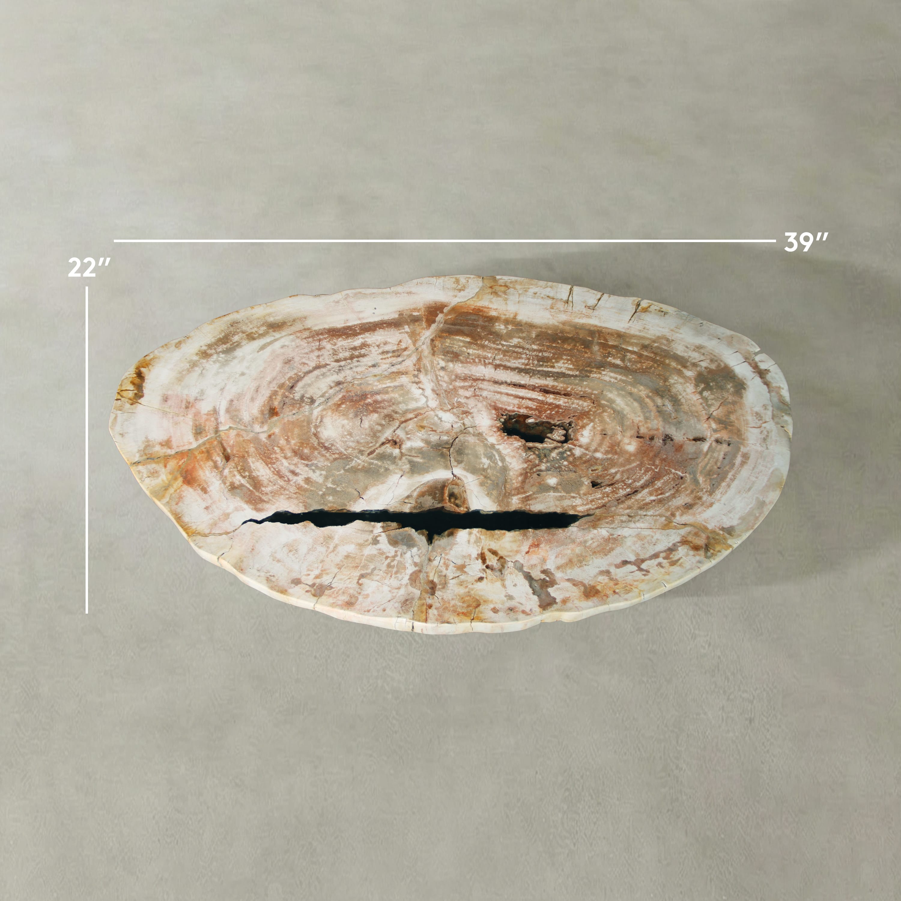 Kalifano Petrified Wood Natural Petrified Wood Round Slab Coffee Table from Indonesia - 39" / 88 lbs PWT3700.002