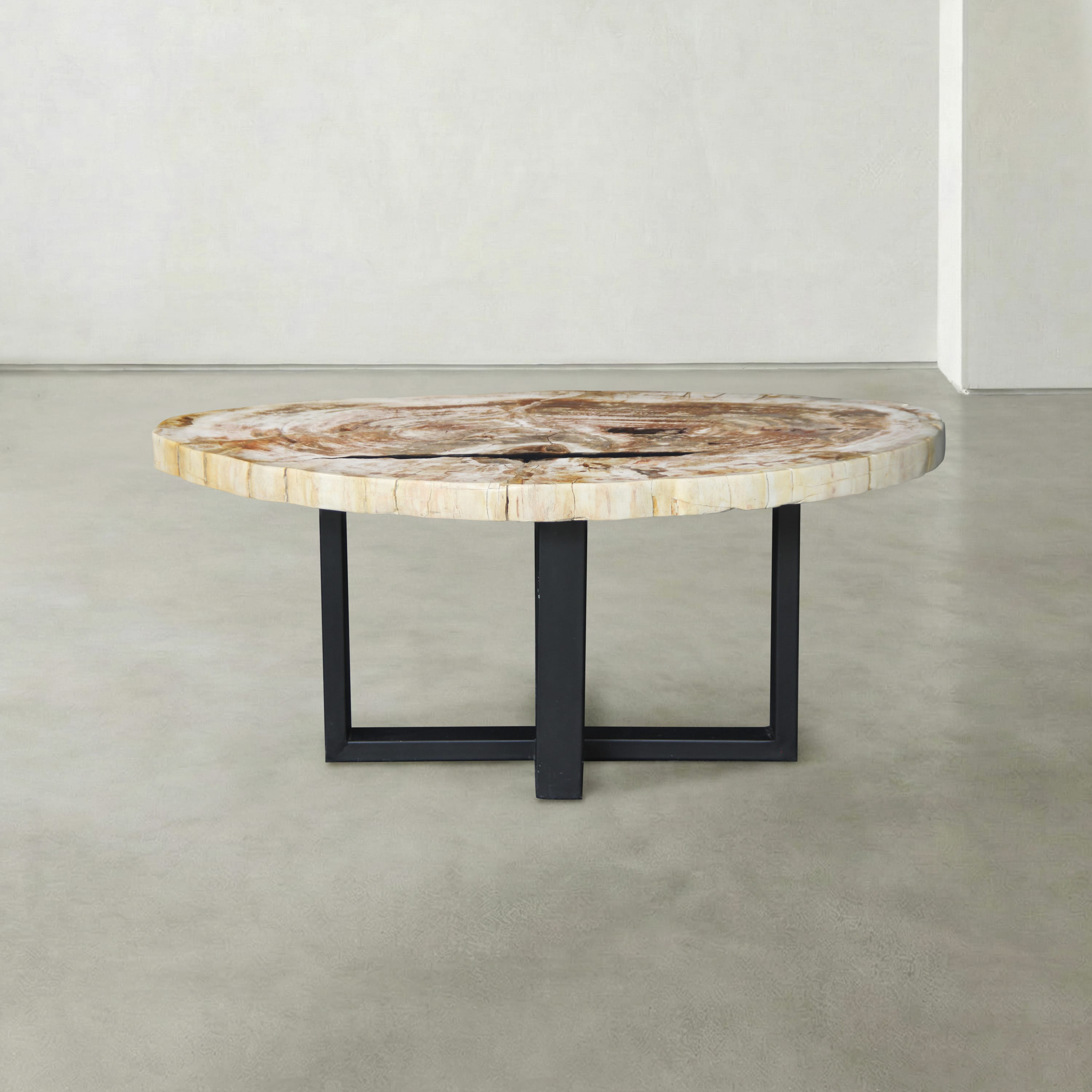 Kalifano Petrified Wood Natural Petrified Wood Round Slab Coffee Table from Indonesia - 39" / 88 lbs PWT3700.002