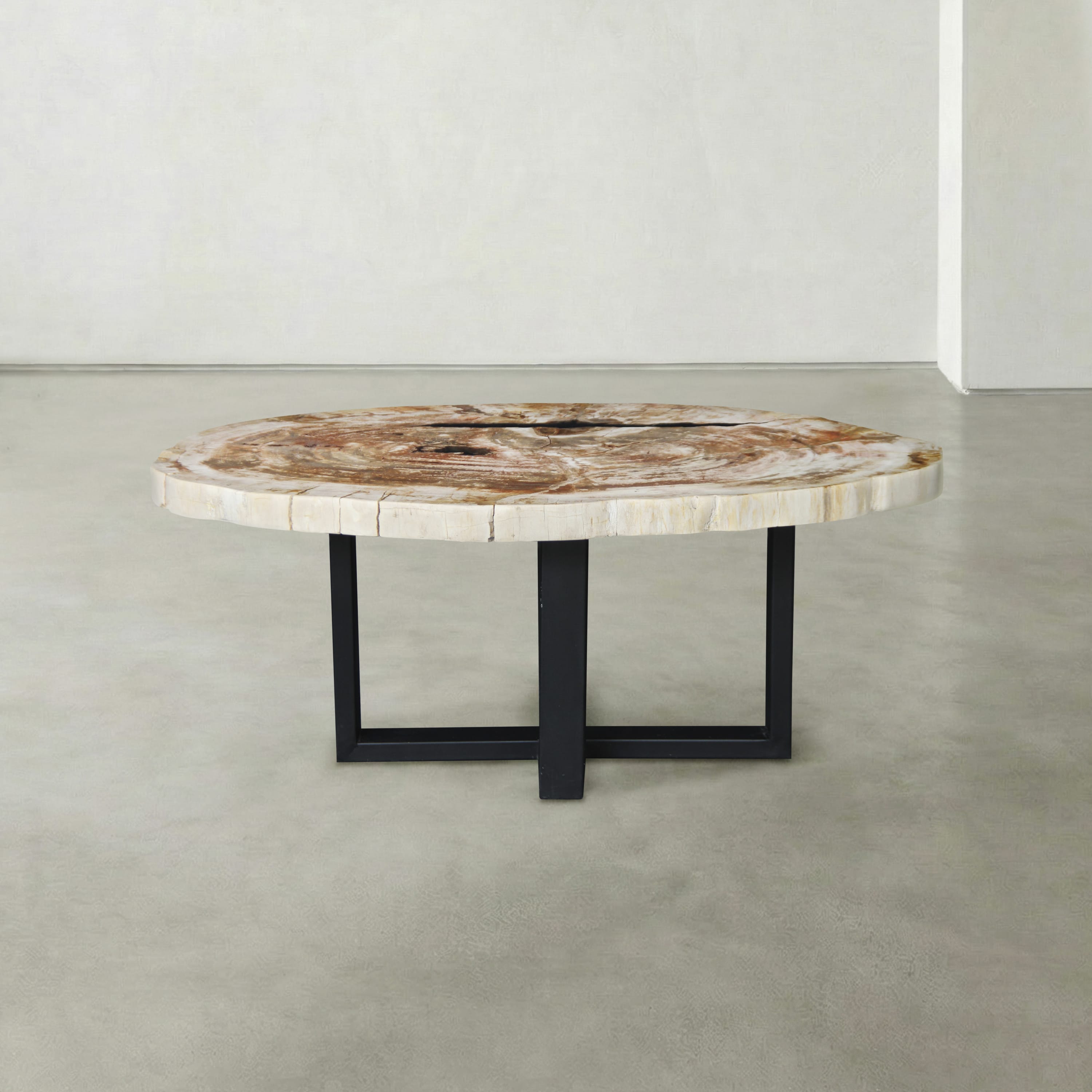 Kalifano Petrified Wood Natural Petrified Wood Round Slab Coffee Table from Indonesia - 39" / 88 lbs PWT3700.002