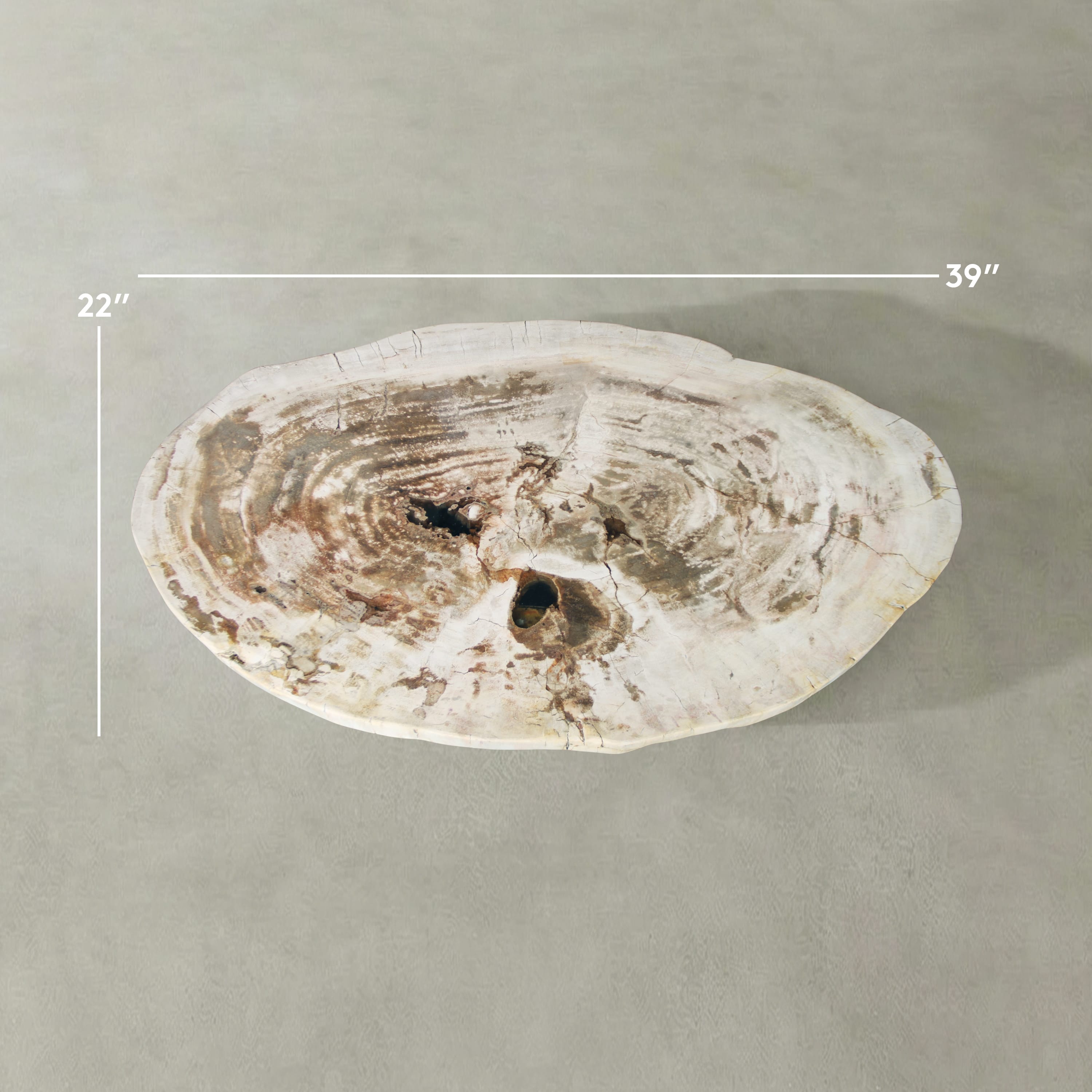 Kalifano Petrified Wood Natural Petrified Wood Round Slab Coffee Table from Indonesia - 39" / 93 lbs PWT3900.003