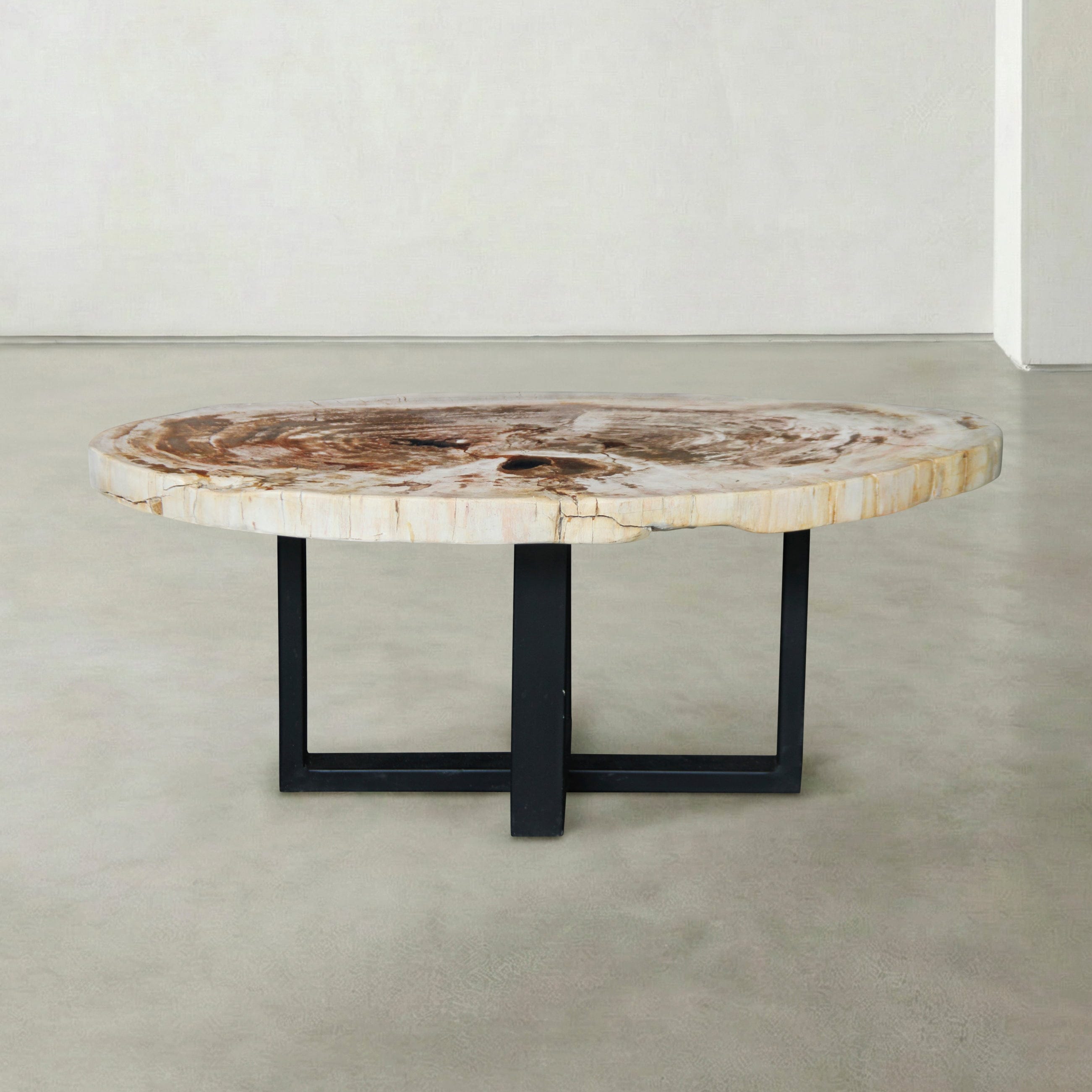 Kalifano Petrified Wood Natural Petrified Wood Round Slab Coffee Table from Indonesia - 39" / 93 lbs PWT3900.003
