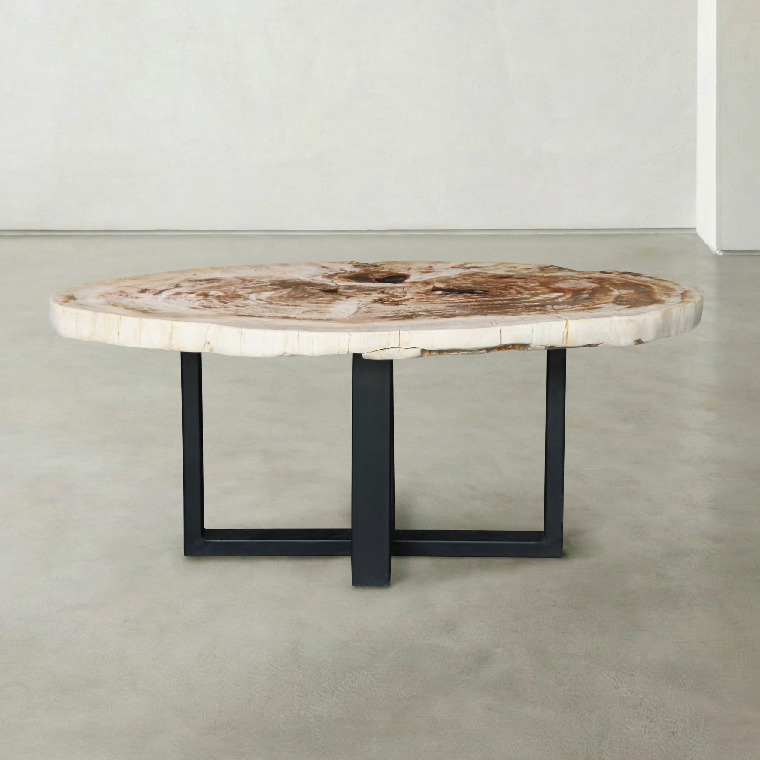 Kalifano Petrified Wood Natural Petrified Wood Round Slab Coffee Table from Indonesia - 39" / 93 lbs PWT3900.003