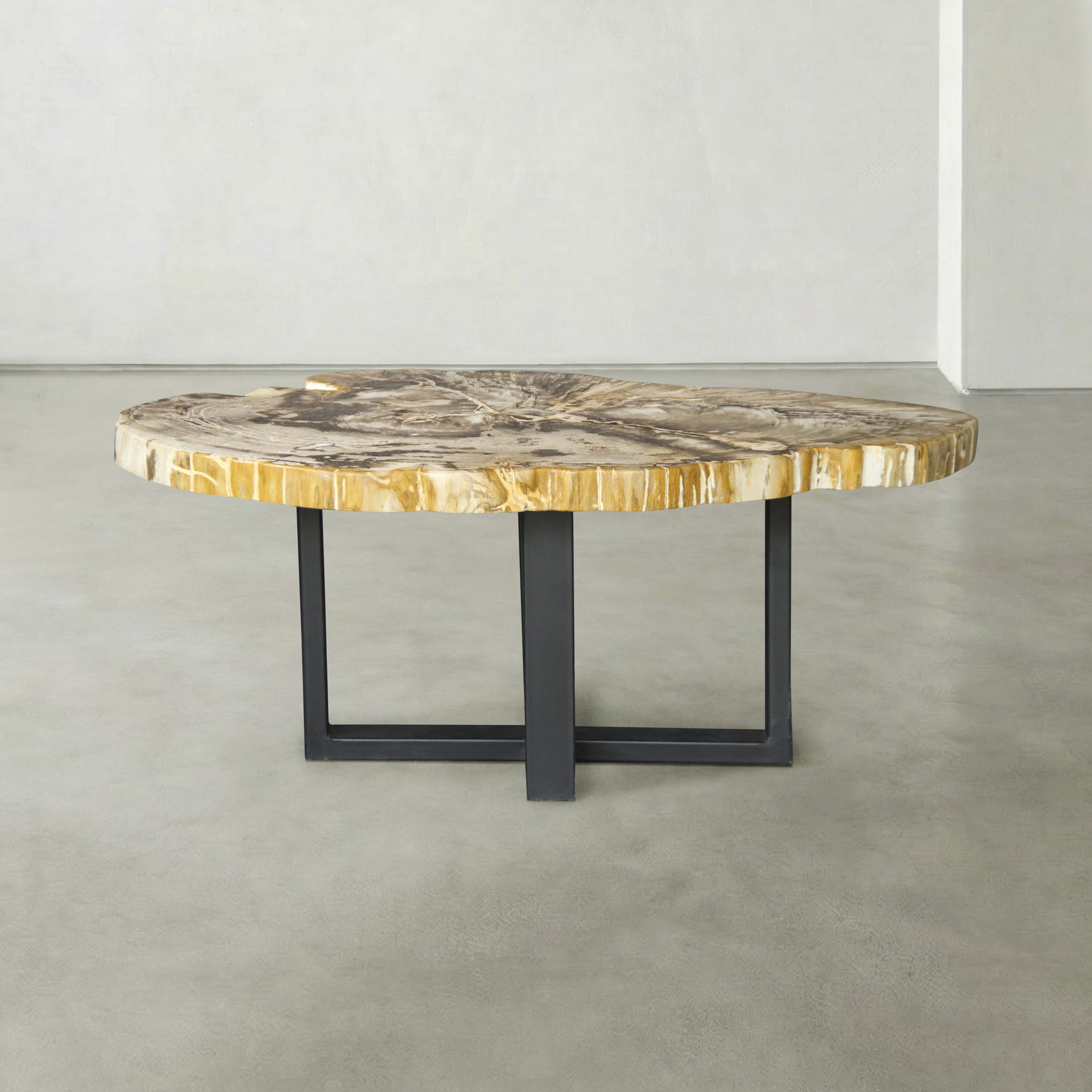 Kalifano Petrified Wood Natural Petrified Wood Round Slab Coffee Table from Indonesia - 41" / 122 lbs PWT4900.002