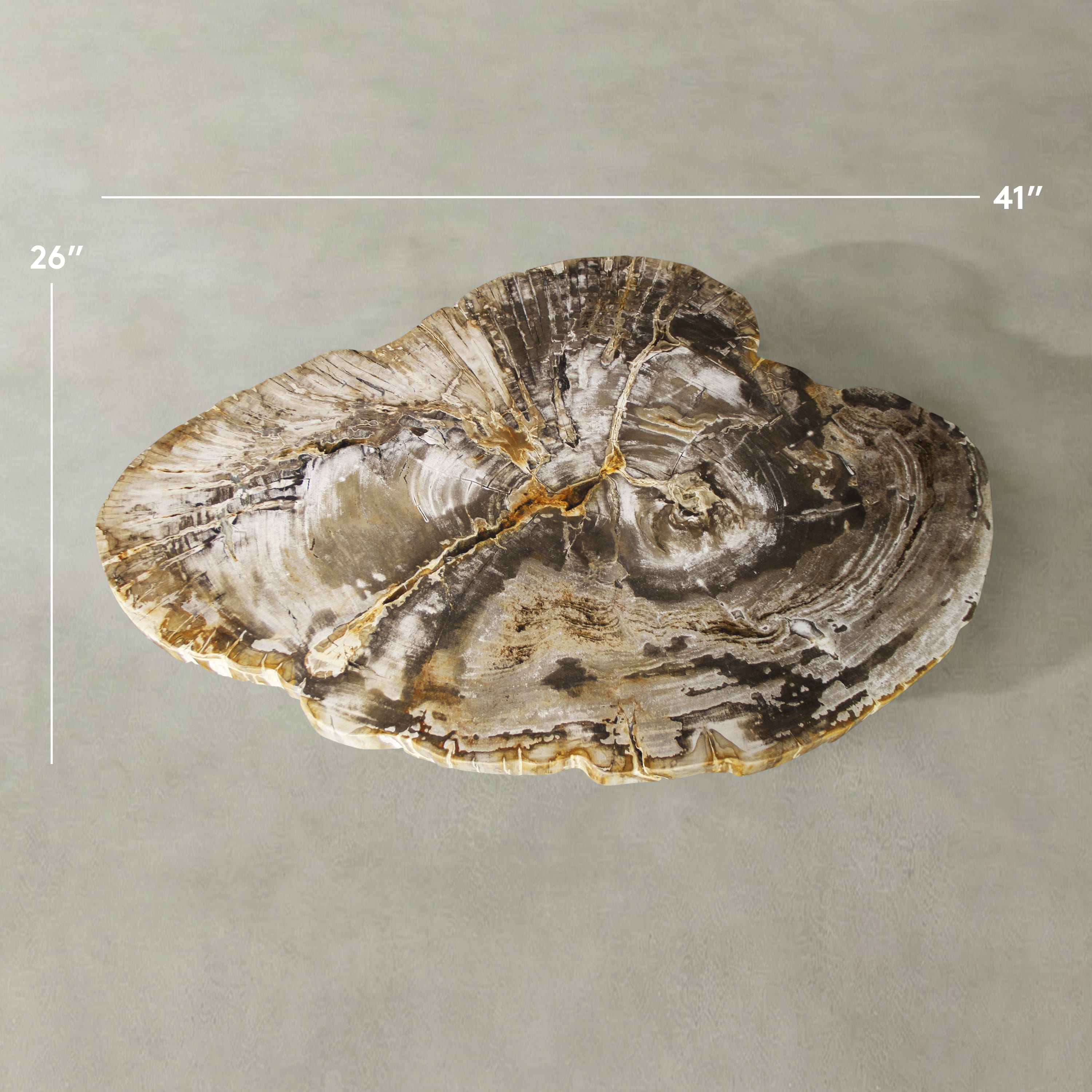 Kalifano Petrified Wood Natural Petrified Wood Round Slab Coffee Table from Indonesia - 41" / 133 lbs PWT5300.003