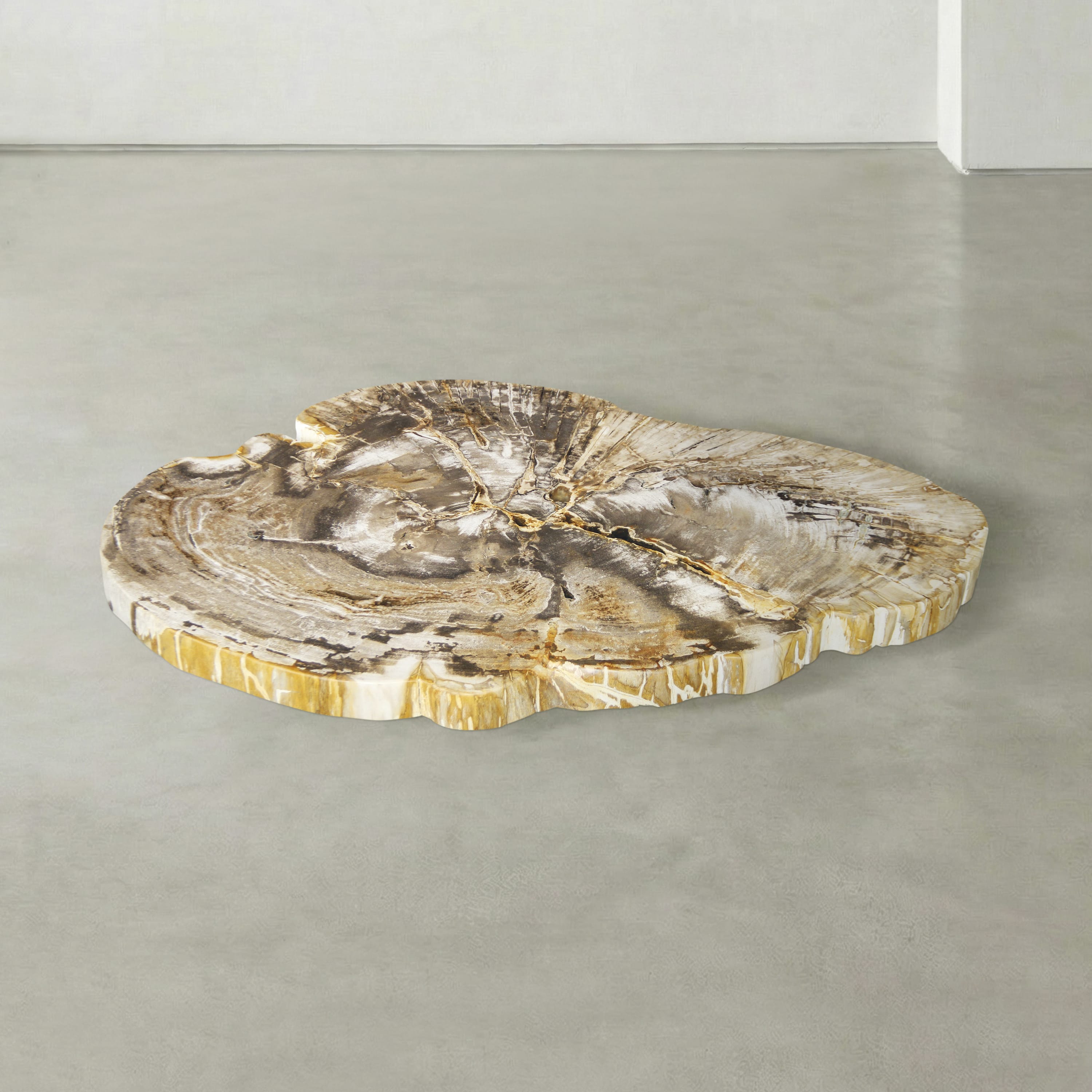 Kalifano Petrified Wood Natural Petrified Wood Round Slab Coffee Table from Indonesia - 41" / 137 lbs PWT5500.001