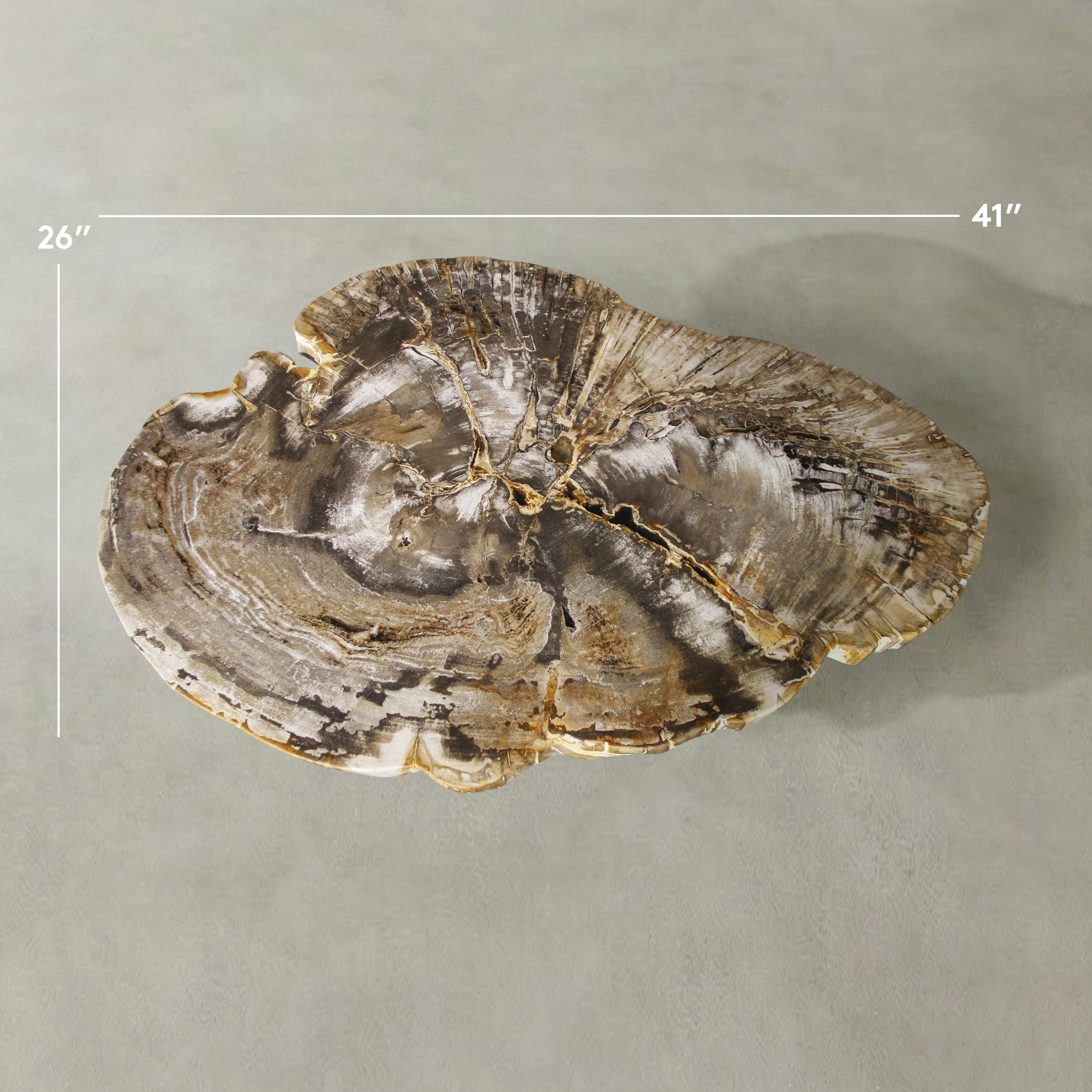 Kalifano Petrified Wood Natural Petrified Wood Round Slab Coffee Table from Indonesia - 41" / 137 lbs PWT5500.001