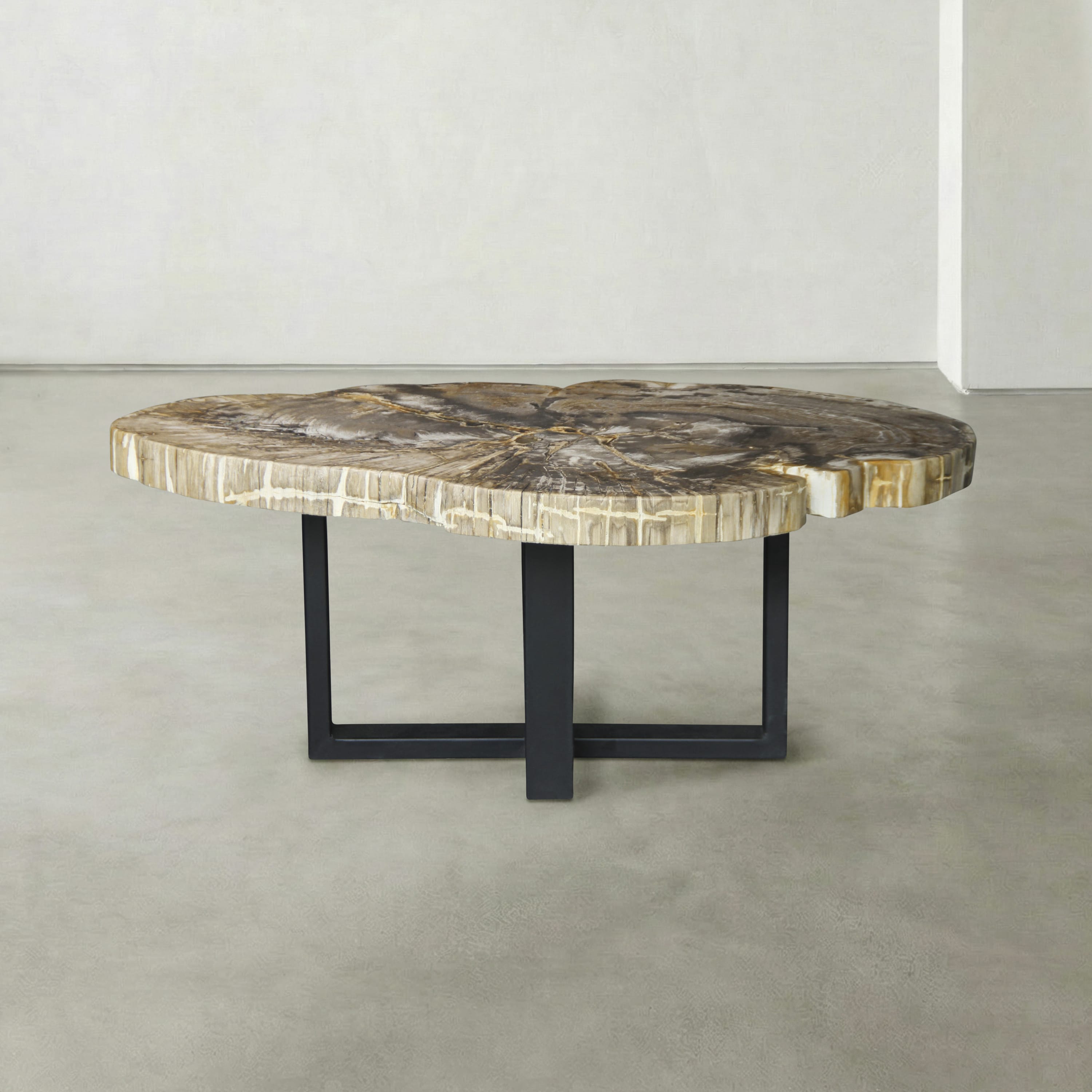 Kalifano Petrified Wood Natural Petrified Wood Round Slab Coffee Table from Indonesia - 41" / 137 lbs PWT5500.001
