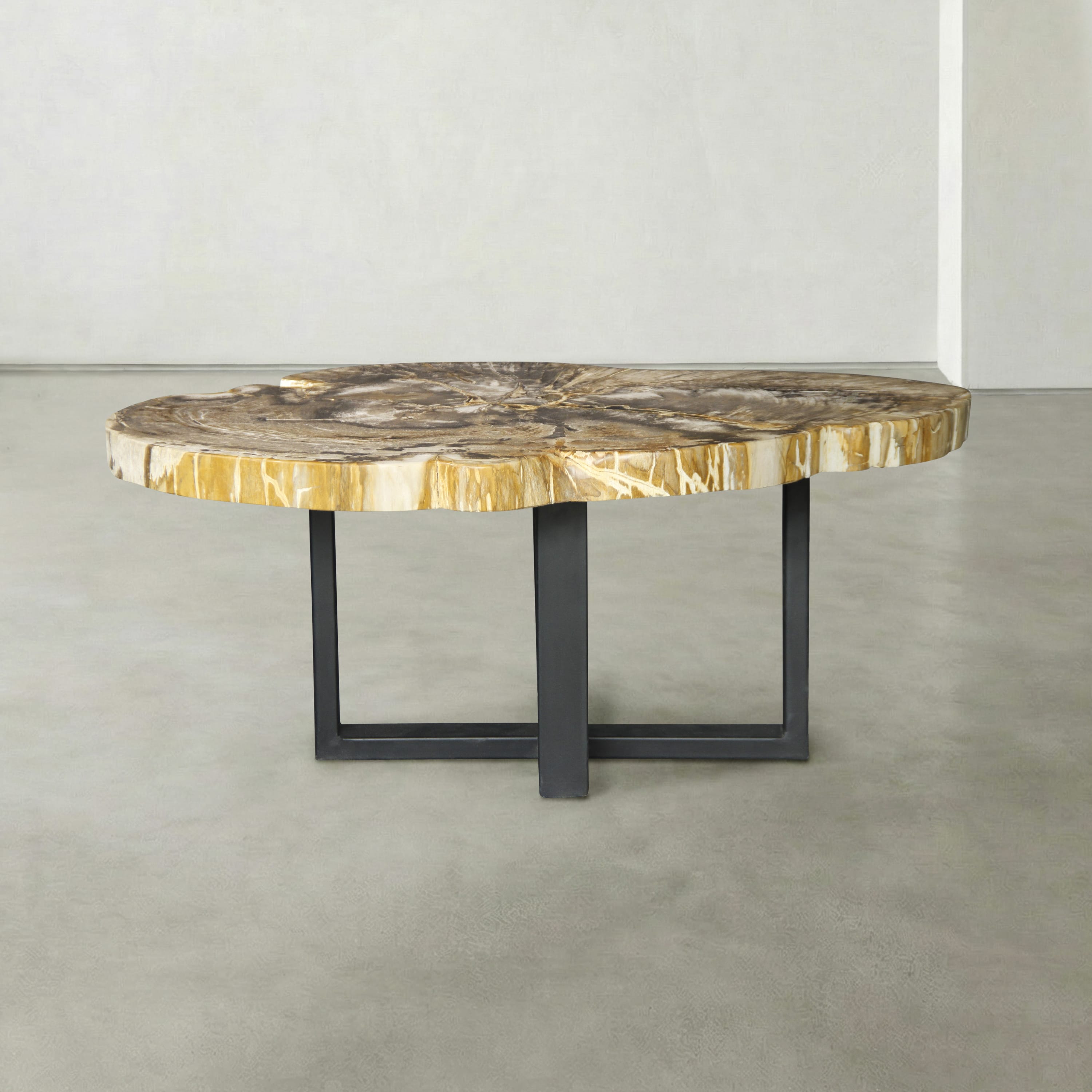 Kalifano Petrified Wood Natural Petrified Wood Round Slab Coffee Table from Indonesia - 41" / 137 lbs PWT5500.001