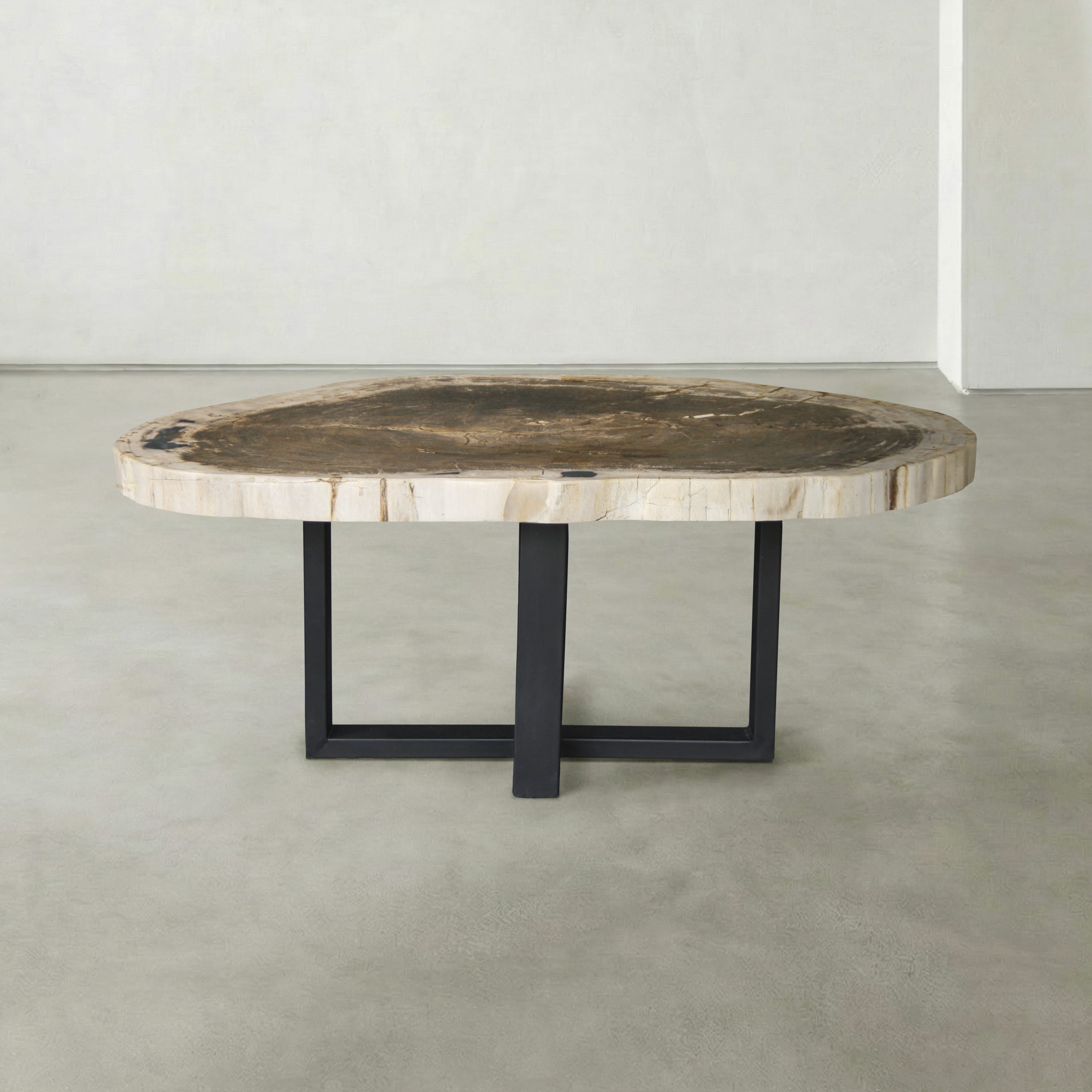Kalifano Petrified Wood Natural Petrified Wood Round Slab Coffee Table from Indonesia - 41" / 148 lbs PWT5900.002