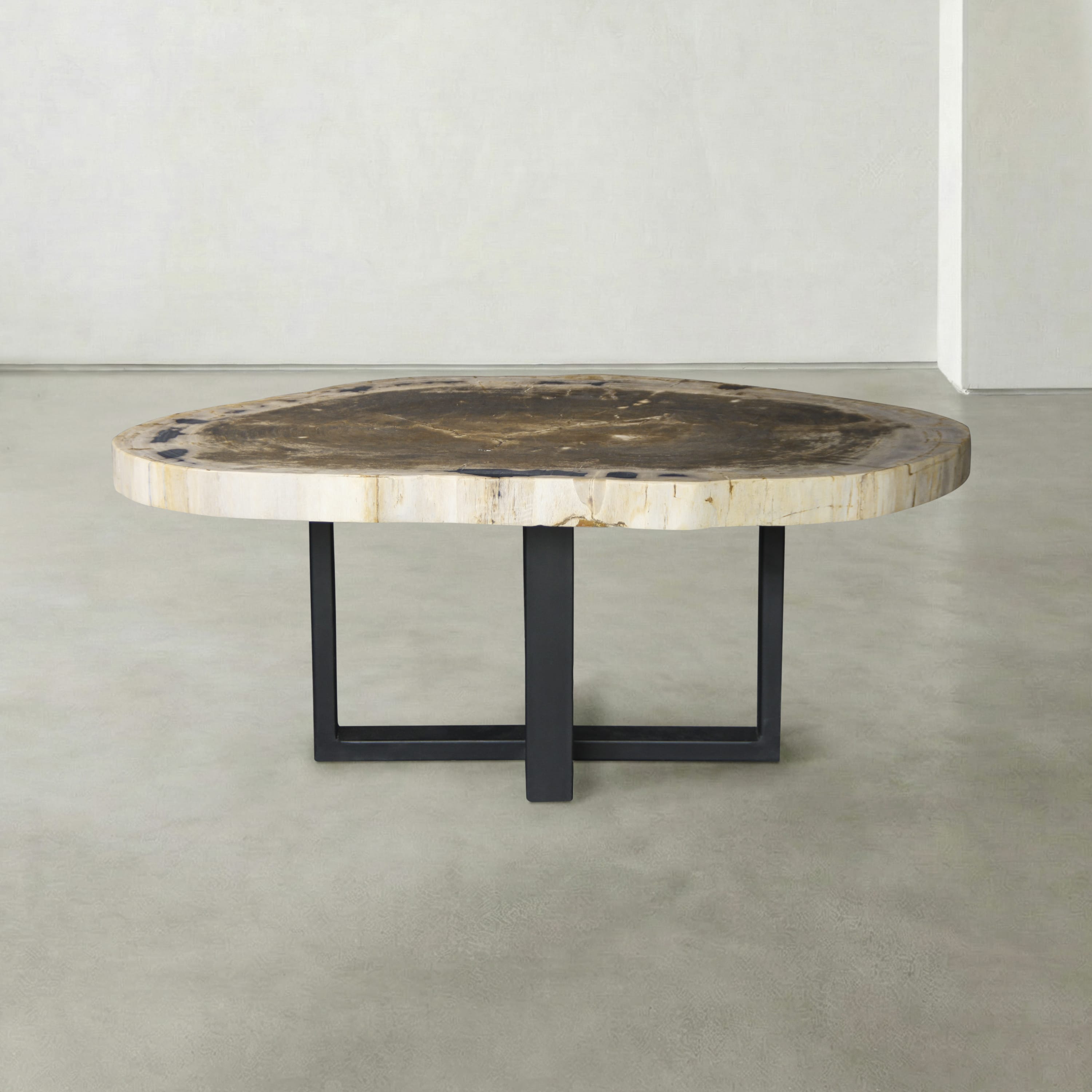 Kalifano Petrified Wood Natural Petrified Wood Round Slab Coffee Table from Indonesia - 41" / 159 lbs PWT6300.001