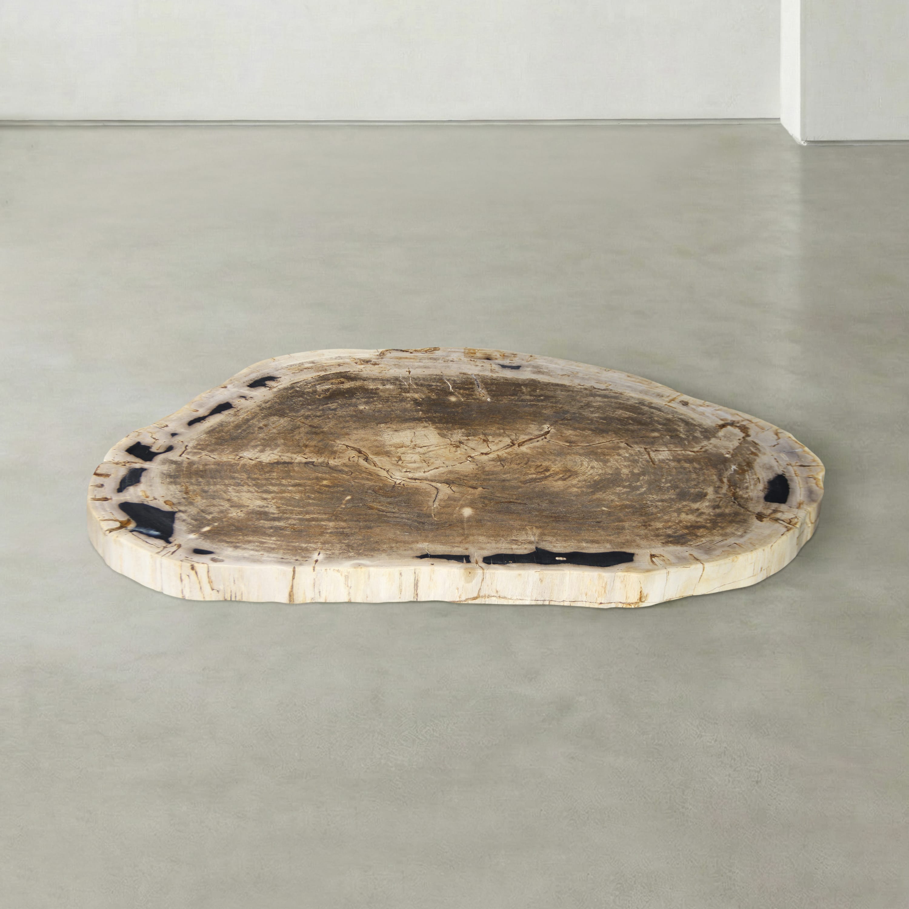 Kalifano Petrified Wood Natural Petrified Wood Round Slab Coffee Table from Indonesia - 41" / 161 lbs PWT6400.008
