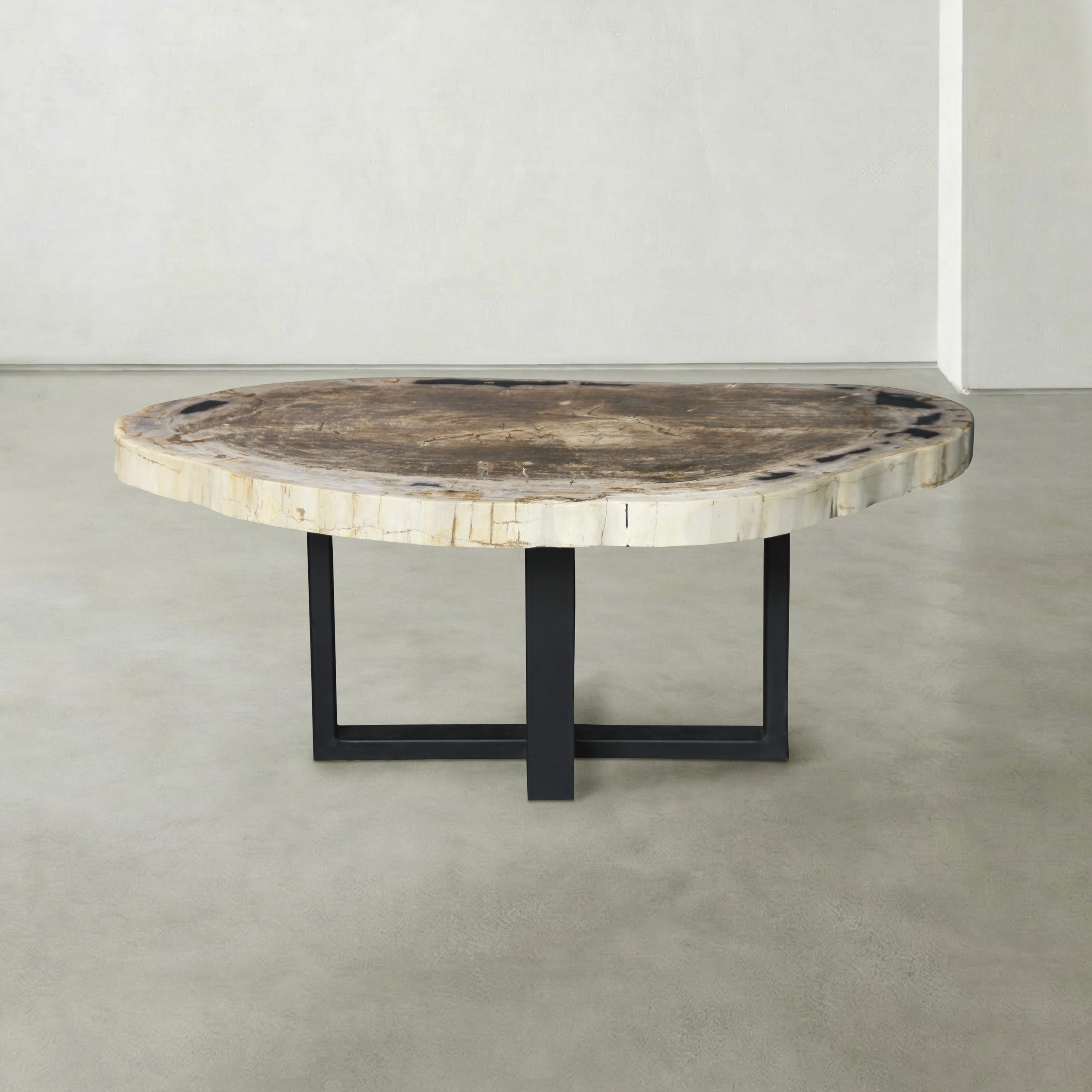 Kalifano Petrified Wood Natural Petrified Wood Round Slab Coffee Table from Indonesia - 41" / 161 lbs PWT6400.008