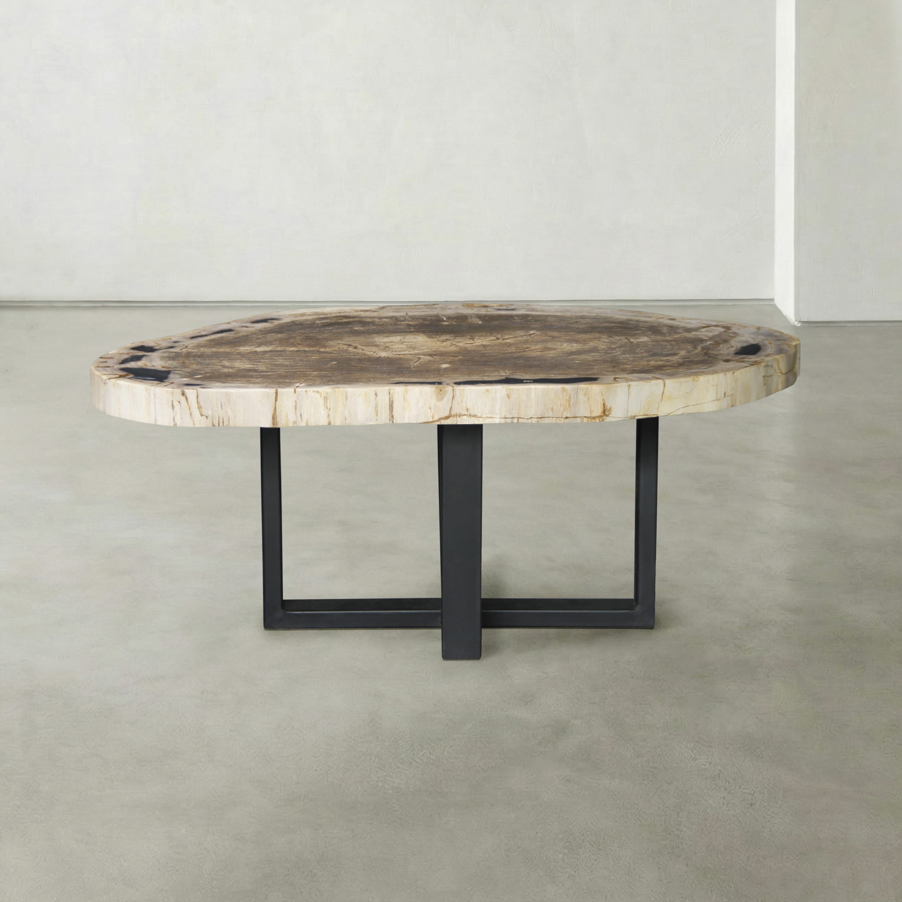 Kalifano Petrified Wood Natural Petrified Wood Round Slab Coffee Table from Indonesia - 41" / 161 lbs PWT6400.008
