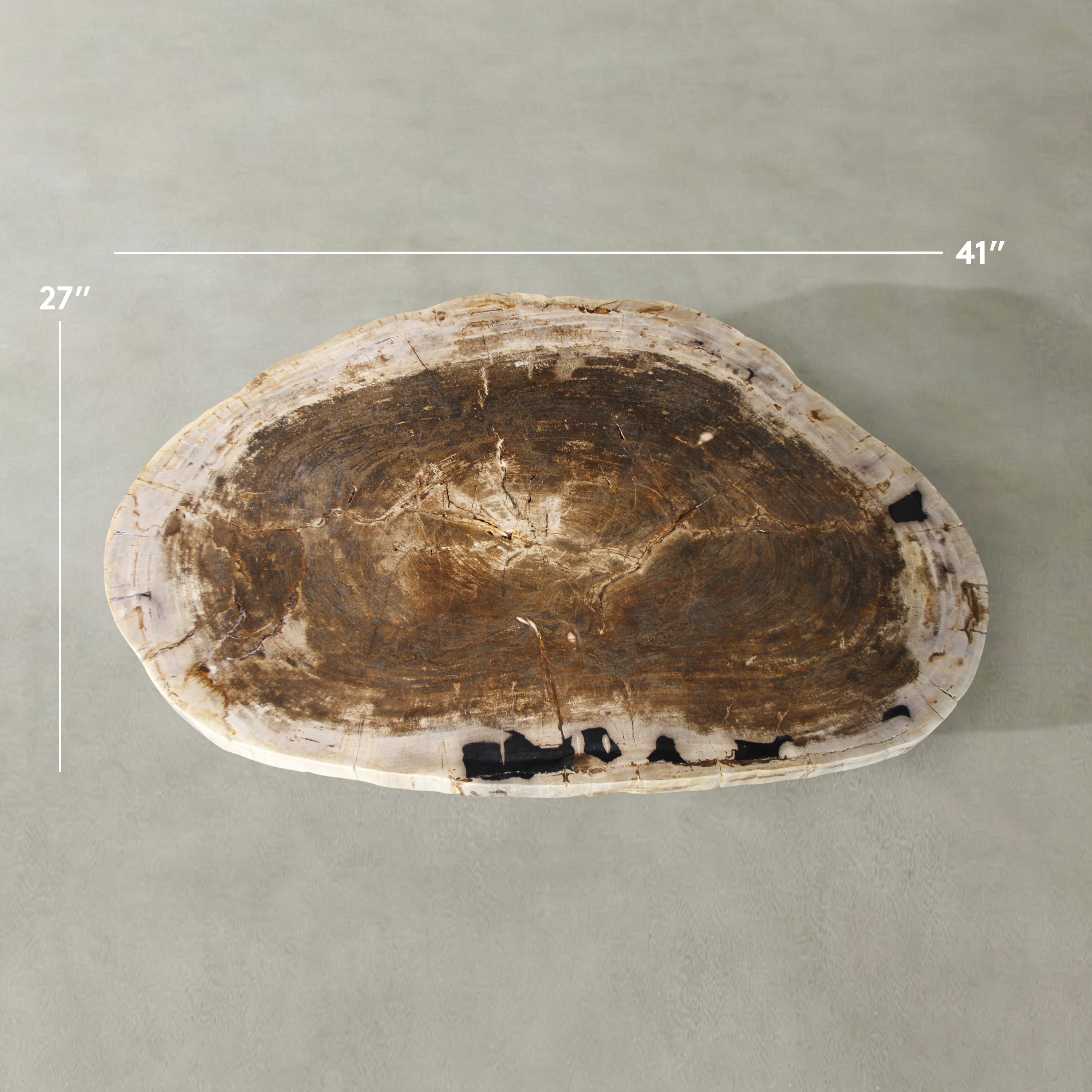 Kalifano Petrified Wood Natural Petrified Wood Round Slab Coffee Table from Indonesia - 41" / 161 lbs PWT6400.009