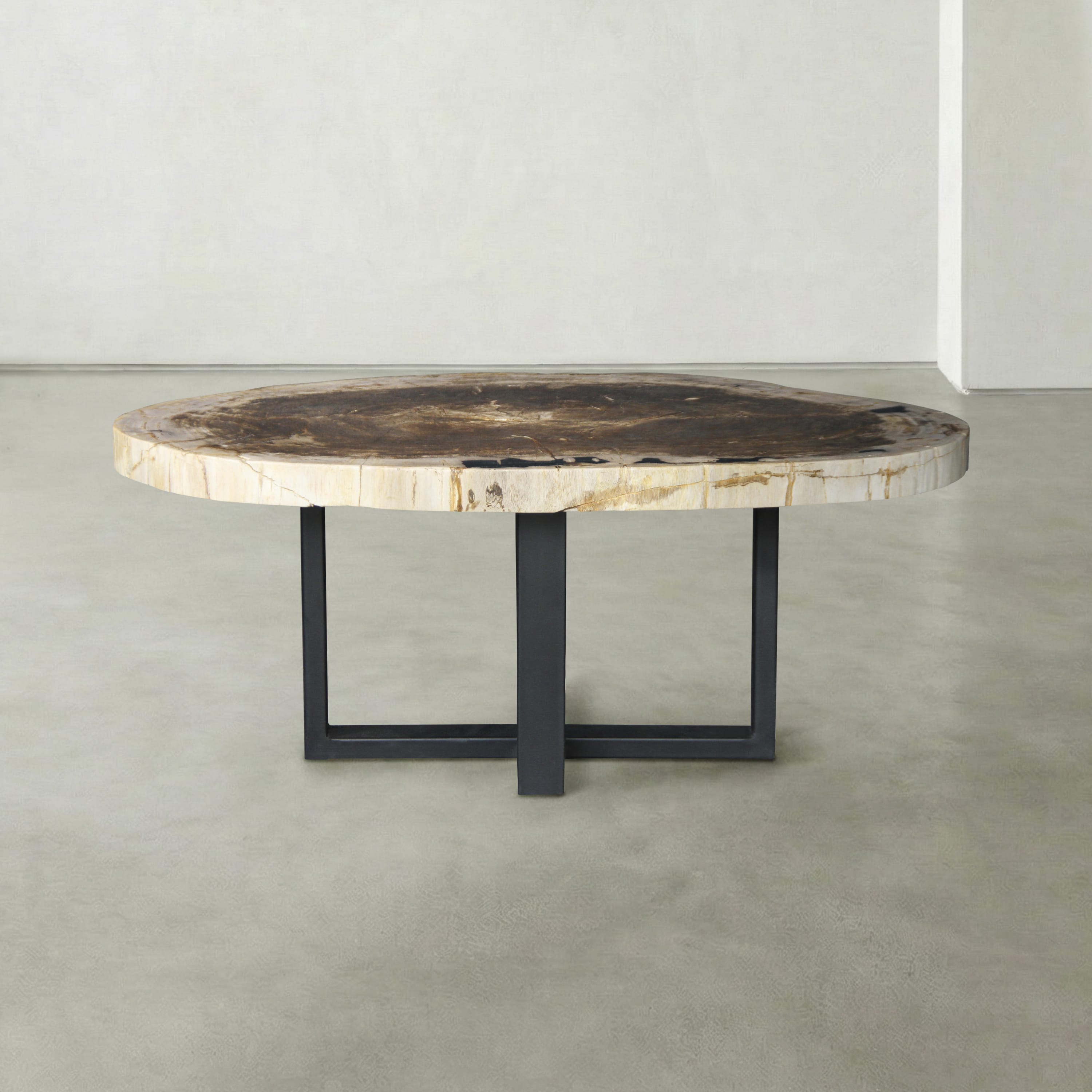 Kalifano Petrified Wood Natural Petrified Wood Round Slab Coffee Table from Indonesia - 41" / 161 lbs PWT6400.009