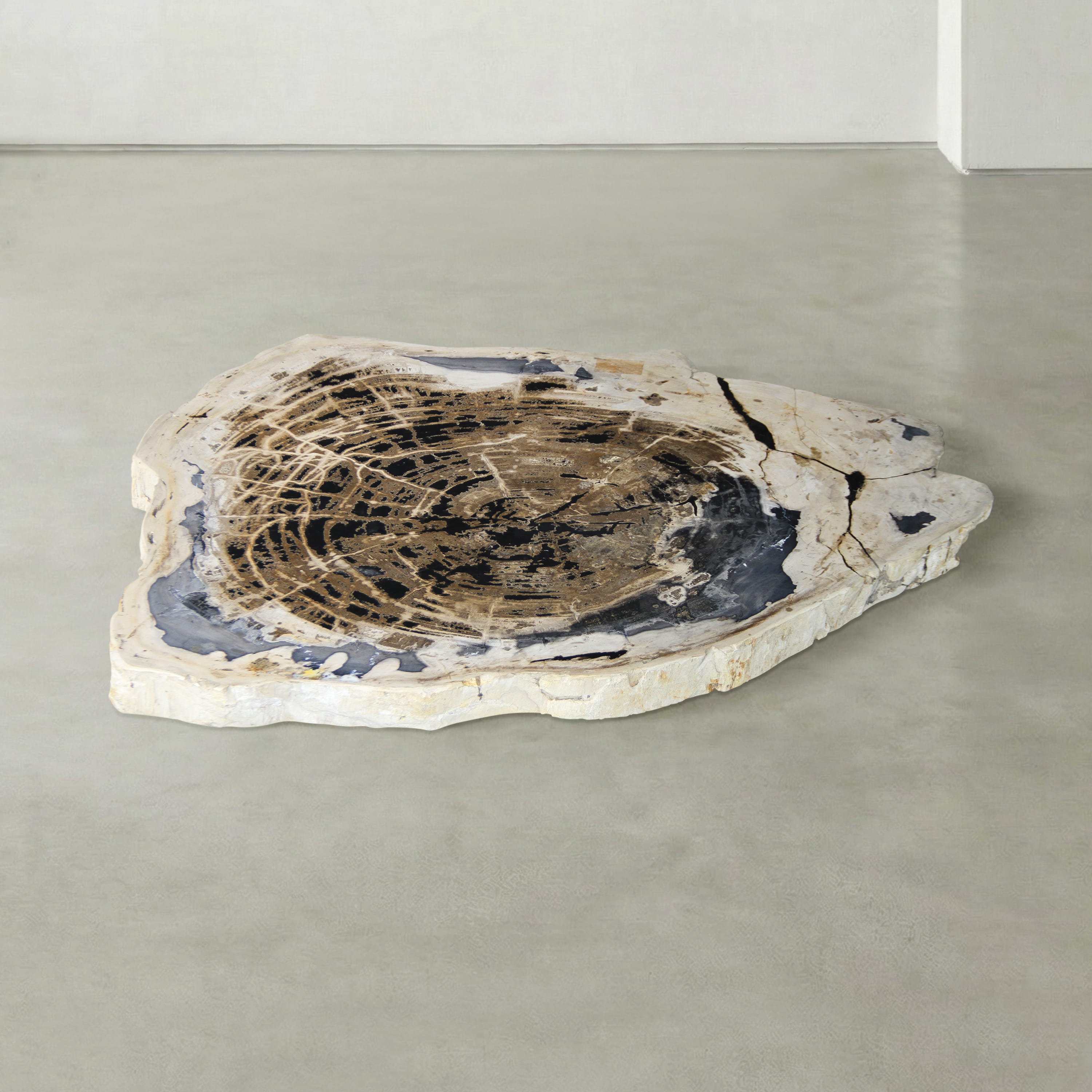 Kalifano Petrified Wood Natural Petrified Wood Round Slab Coffee Table from Indonesia - 41" / 208 lbs PWT8100.002