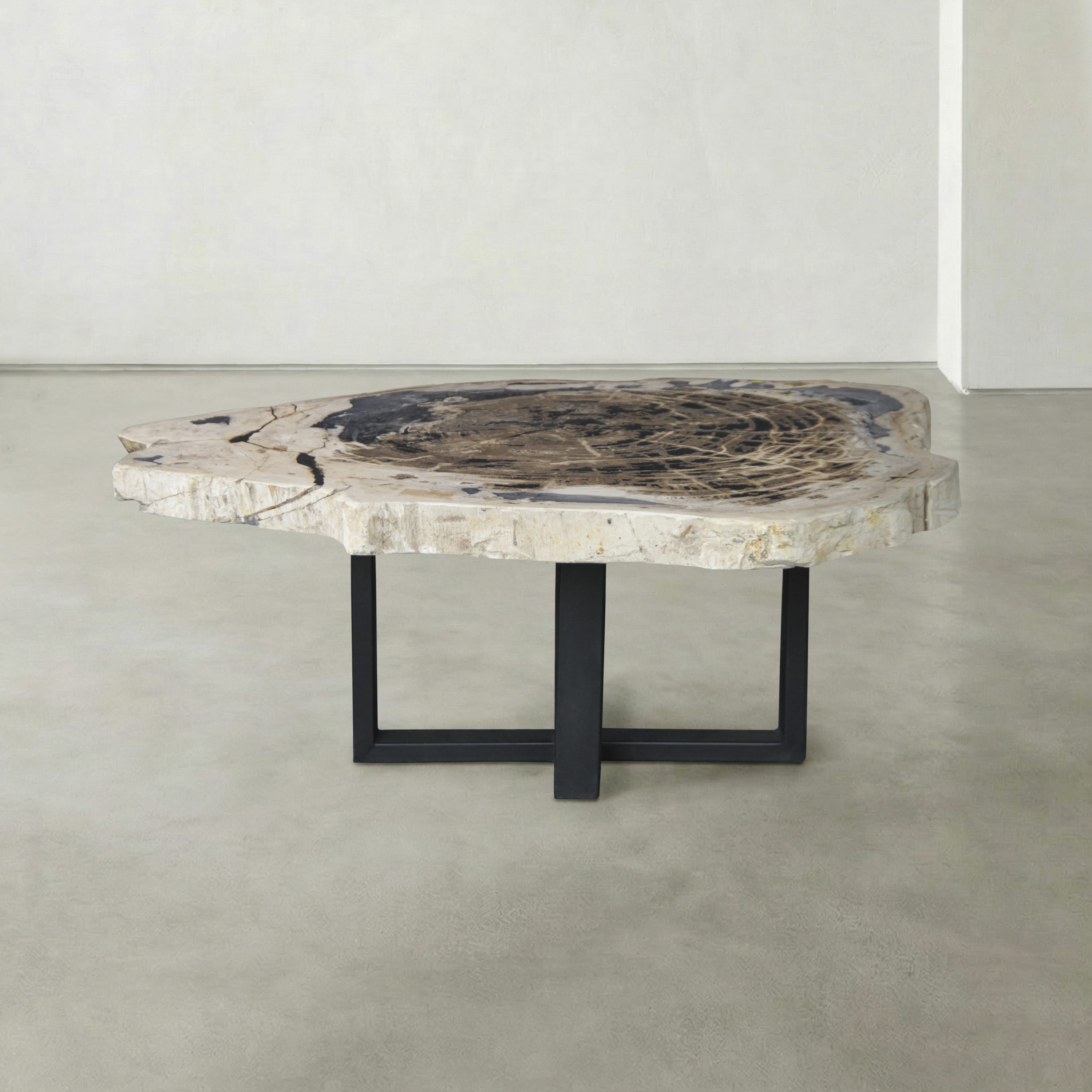 Kalifano Petrified Wood Natural Petrified Wood Round Slab Coffee Table from Indonesia - 41" / 208 lbs PWT8100.002
