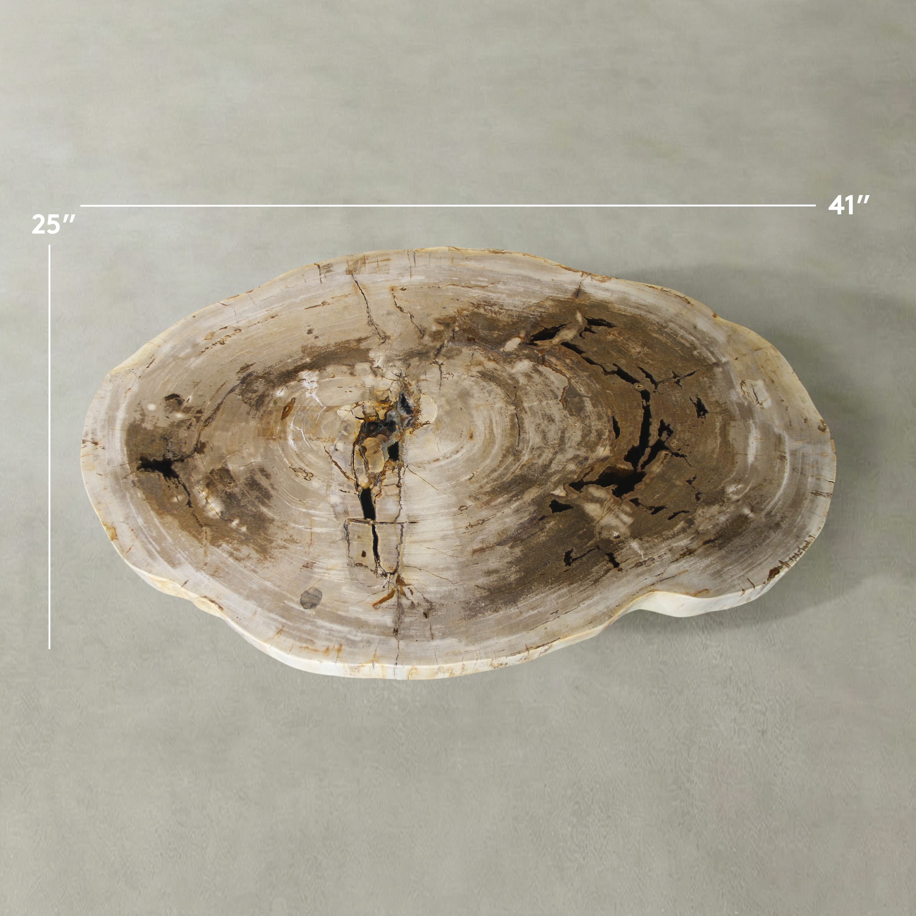 Kalifano Petrified Wood Natural Petrified Wood Round Slab Coffee Table from Indonesia - 41" / 210 lbs PWT8100.003