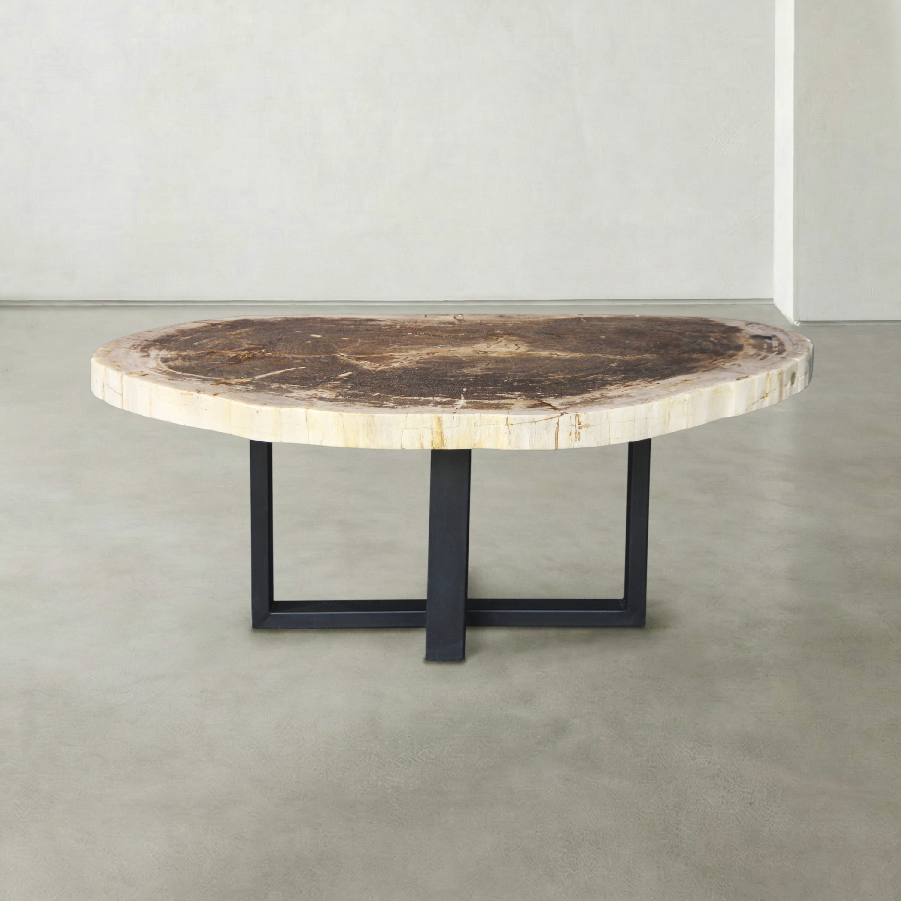 Kalifano Petrified Wood Natural Petrified Wood Round Slab Coffee Table from Indonesia - 42" / 144 lbs PWT5700.003