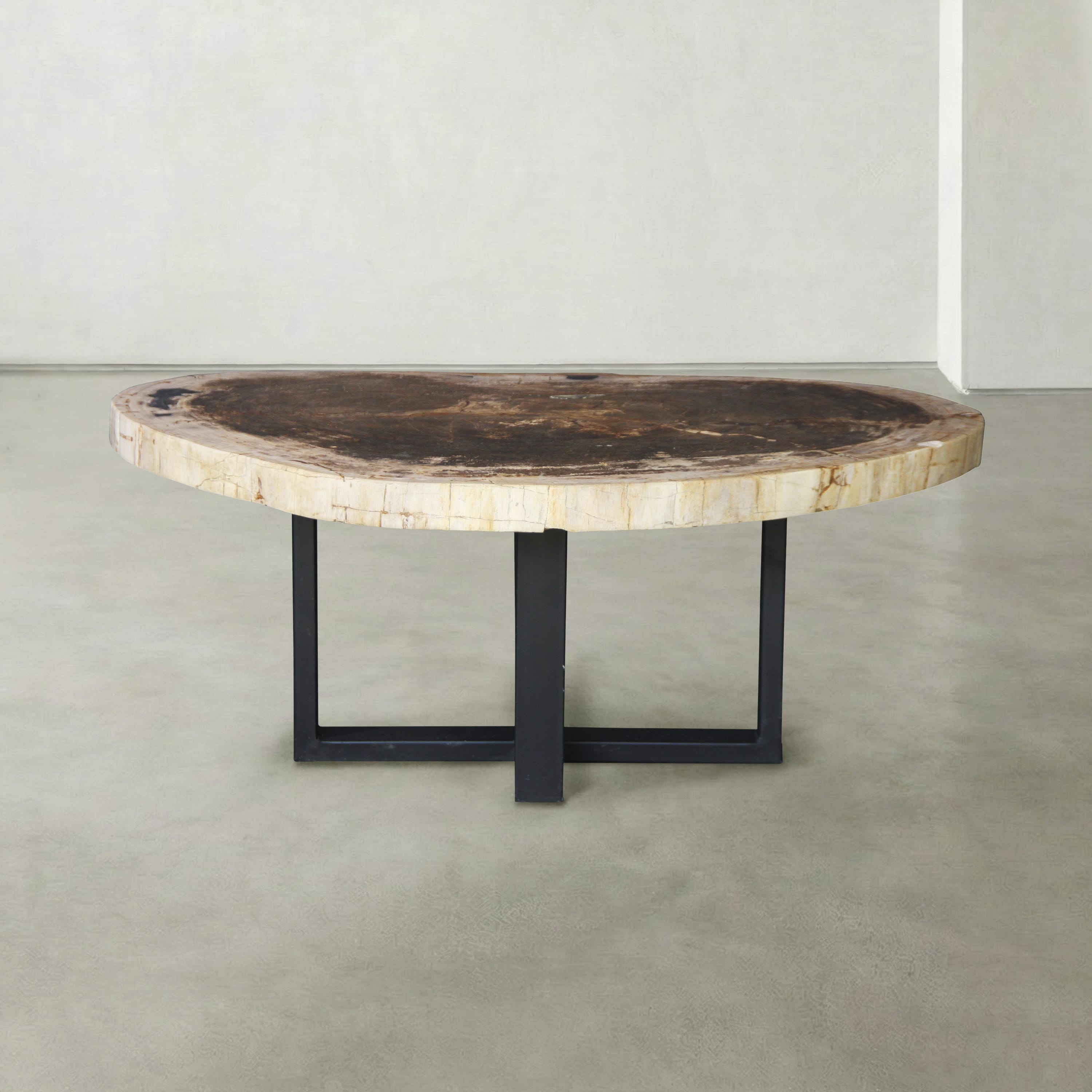 Kalifano Petrified Wood Natural Petrified Wood Round Slab Coffee Table from Indonesia - 42" / 148 lbs PWT5900.003