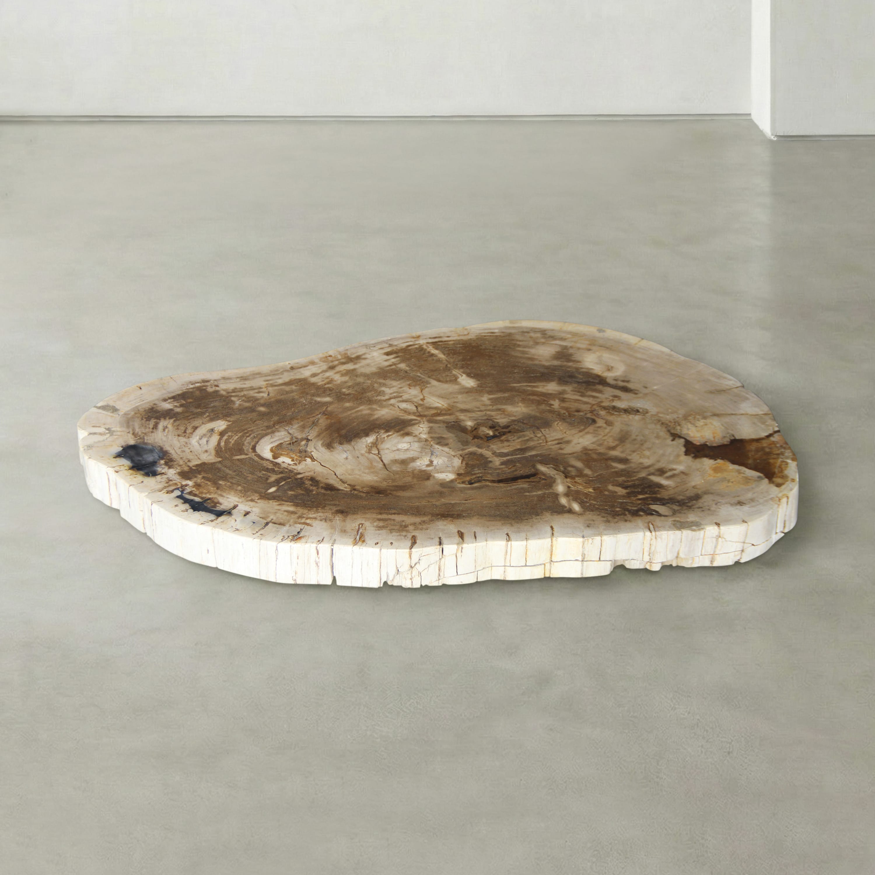 Kalifano Petrified Wood Natural Petrified Wood Round Slab Coffee Table from Indonesia - 43" / 221 lbs PWT8500.002