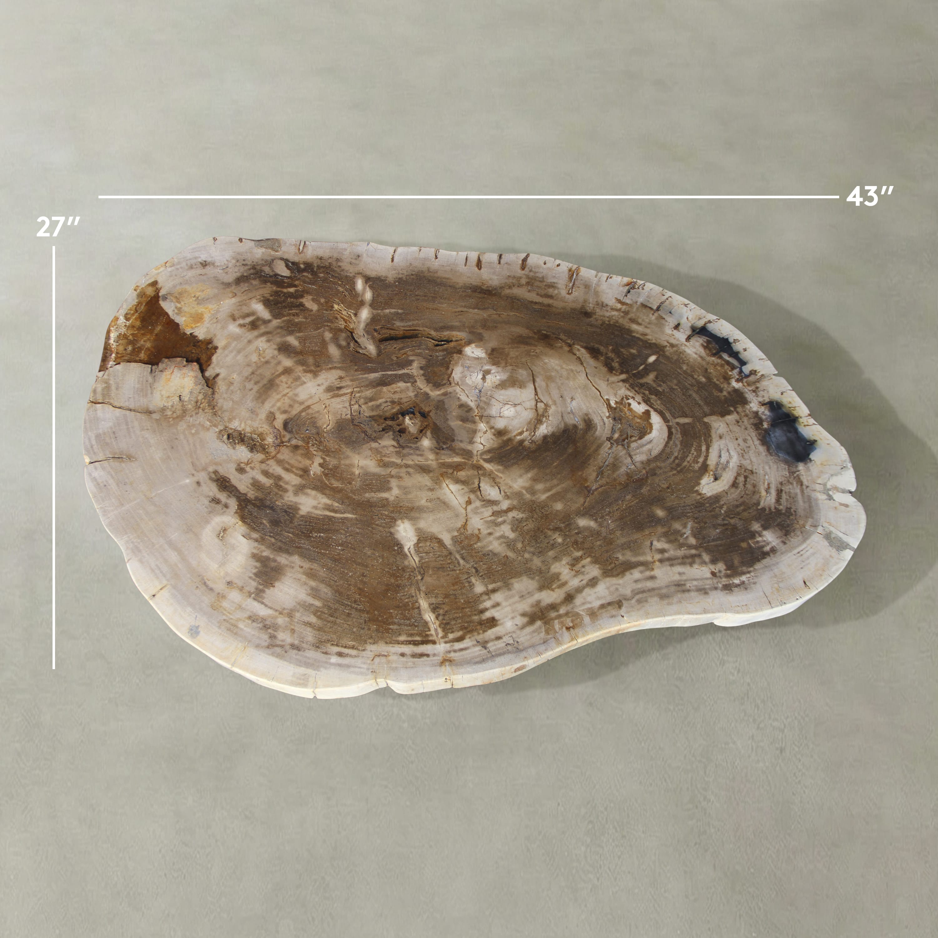 Kalifano Petrified Wood Natural Petrified Wood Round Slab Coffee Table from Indonesia - 43" / 221 lbs PWT8500.002