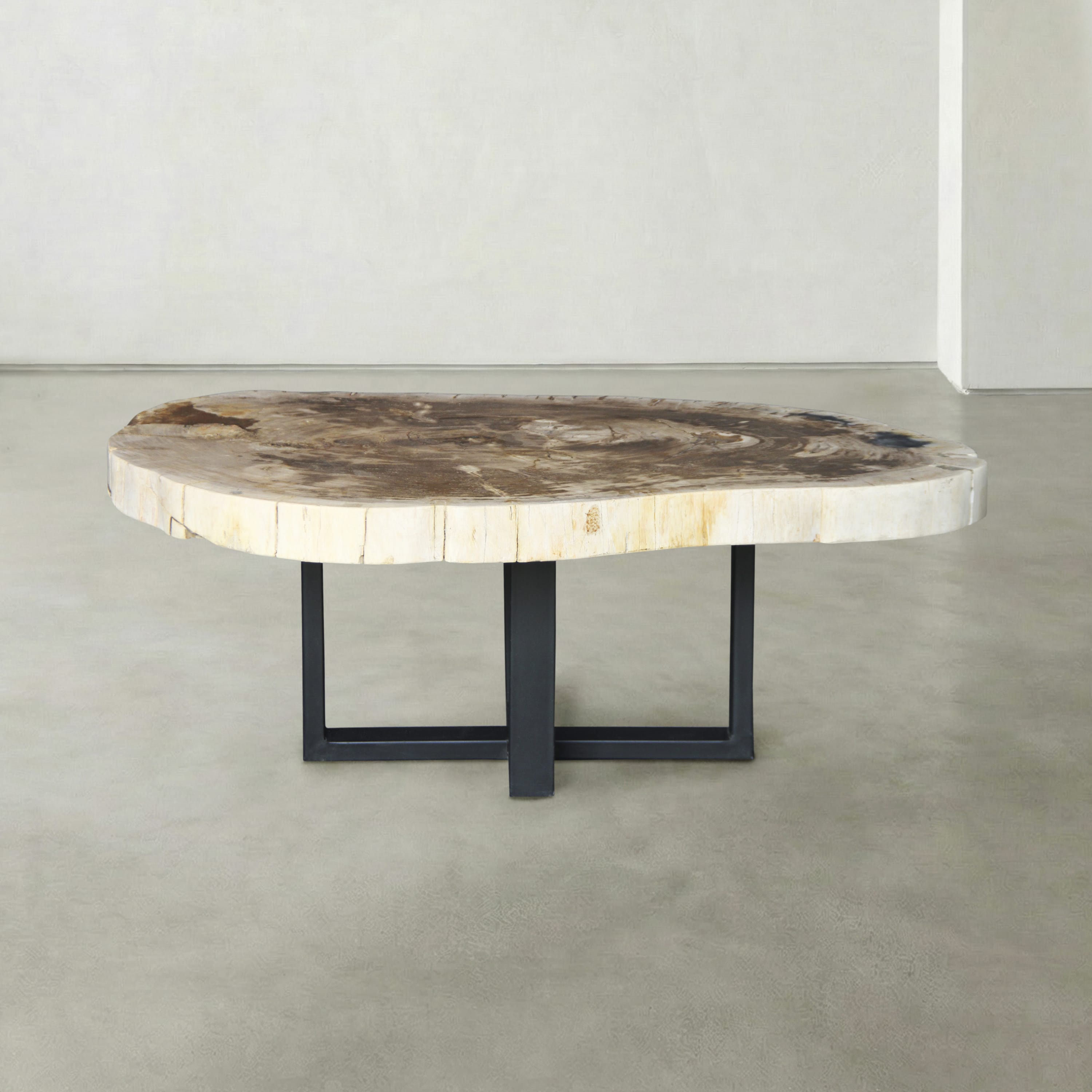 Kalifano Petrified Wood Natural Petrified Wood Round Slab Coffee Table from Indonesia - 43" / 221 lbs PWT8500.002