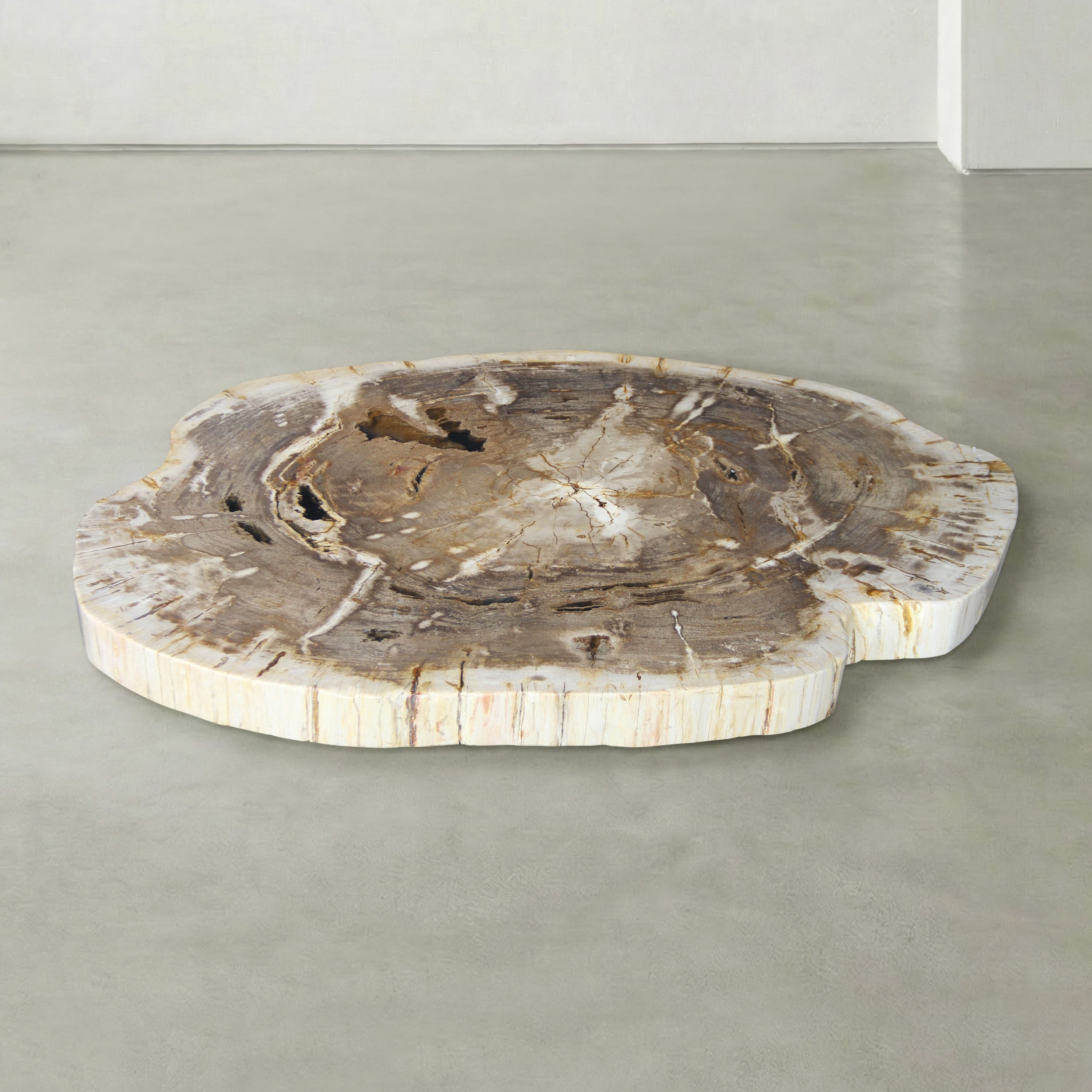 Kalifano Petrified Wood Natural Petrified Wood Round Slab Coffee Table from Indonesia - 46" / 263 lbs PWT10100.001