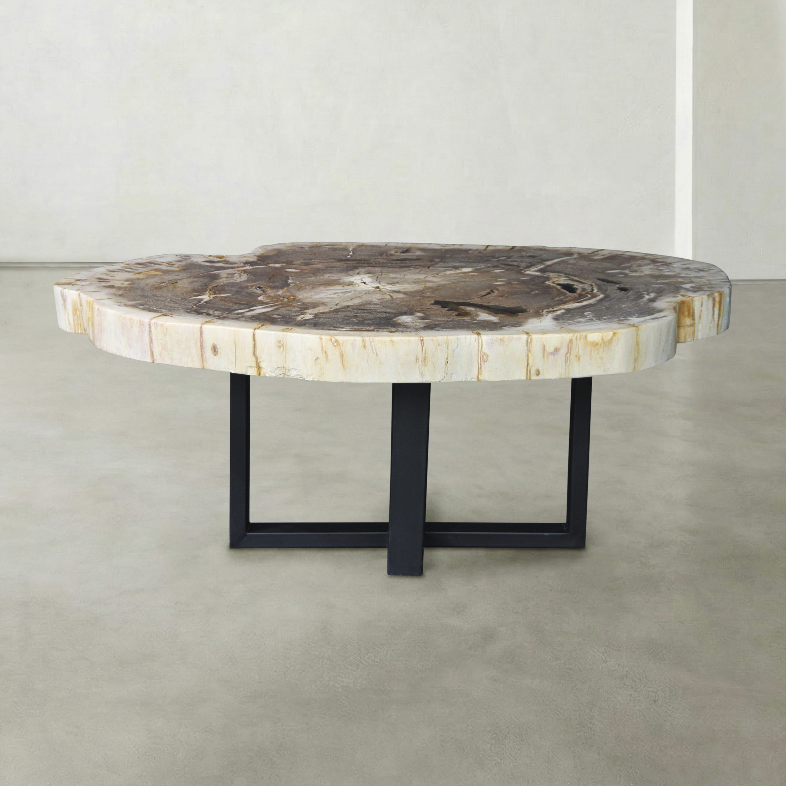Kalifano Petrified Wood Natural Petrified Wood Round Slab Coffee Table from Indonesia - 46" / 263 lbs PWT10100.001