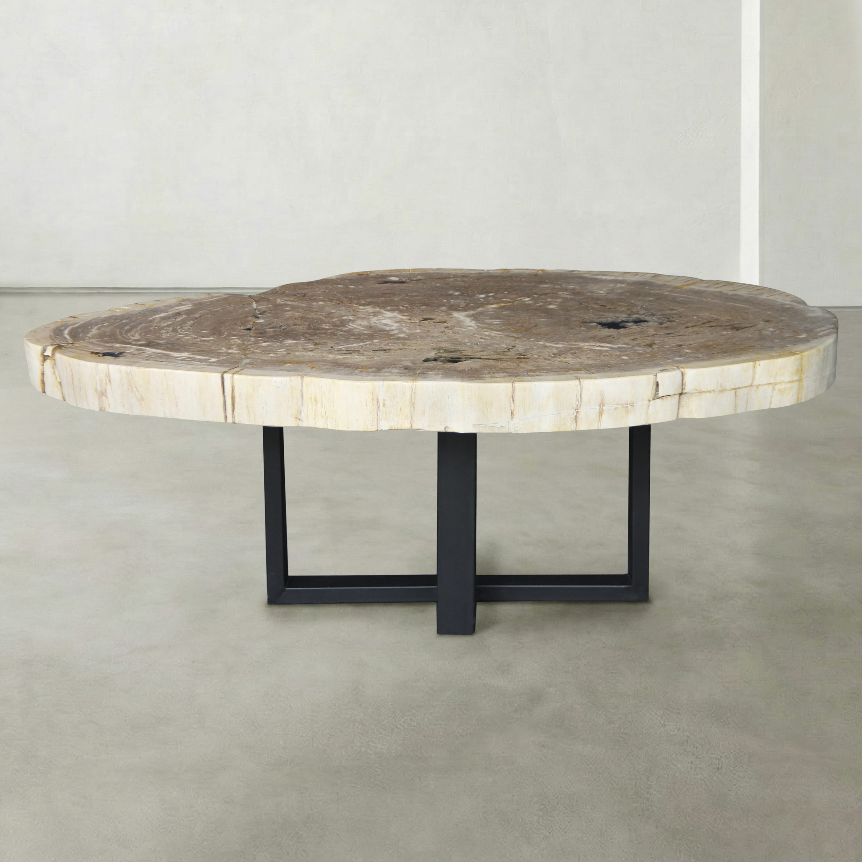 Kalifano Petrified Wood Natural Petrified Wood Round Slab Coffee Table from Indonesia - 49" / 278 lbs PWT10600.003
