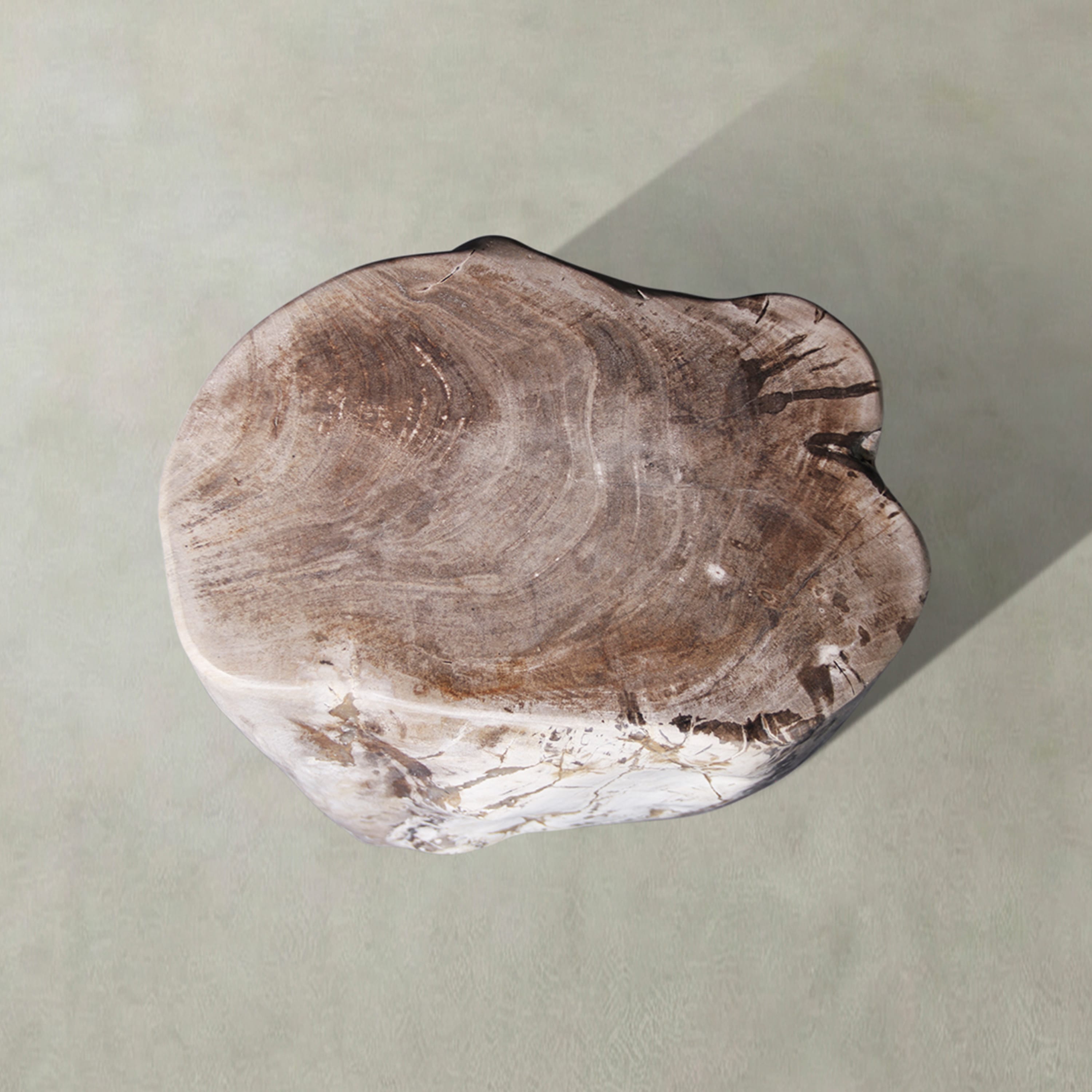 Kalifano Petrified Wood Natural Polished Petrified Wood Stool from Indonesia - 18" / 221 lbs PWS4500.006