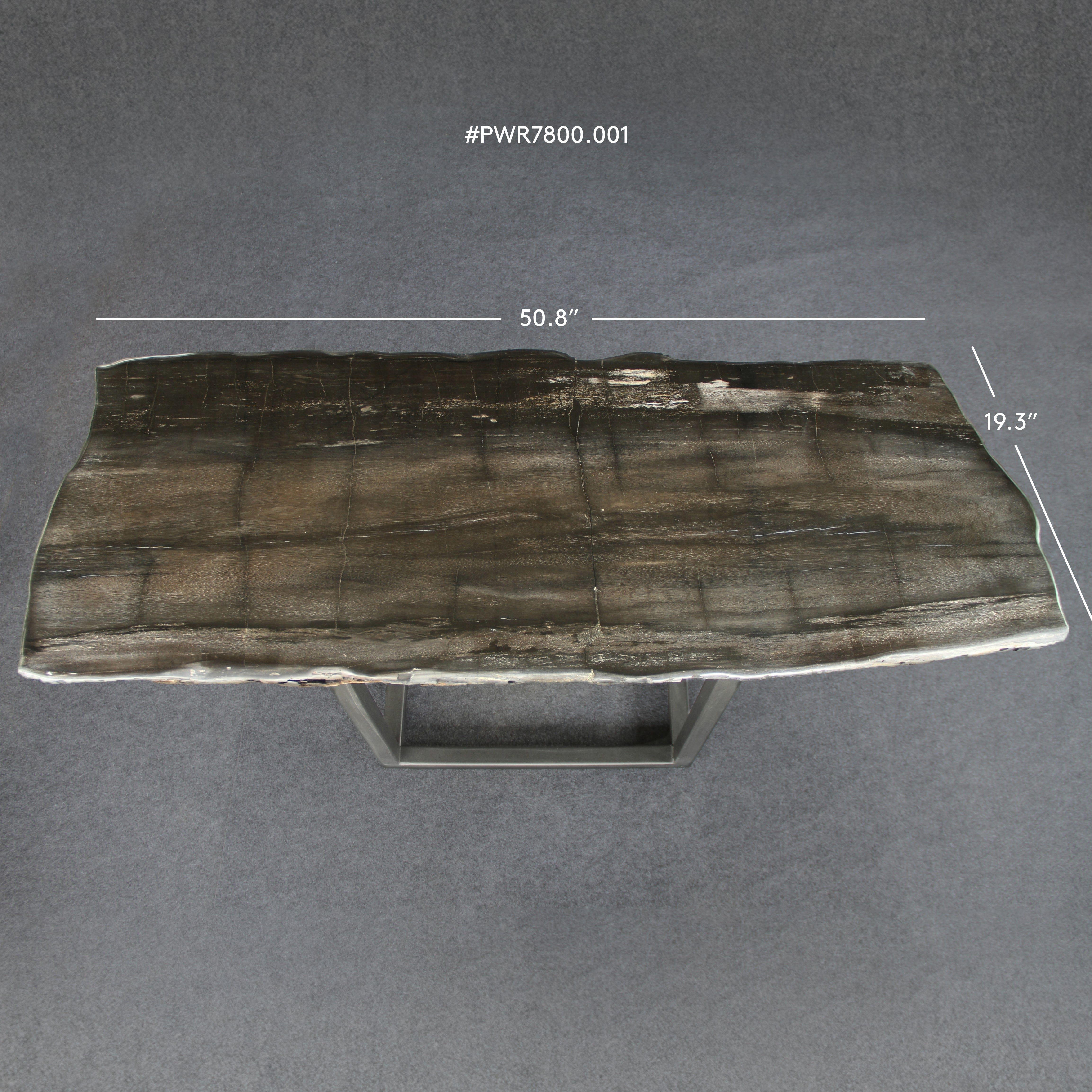 Kalifano Petrified Wood Petrified Wood Console Table 51" / 150 lbs PWR7800.001