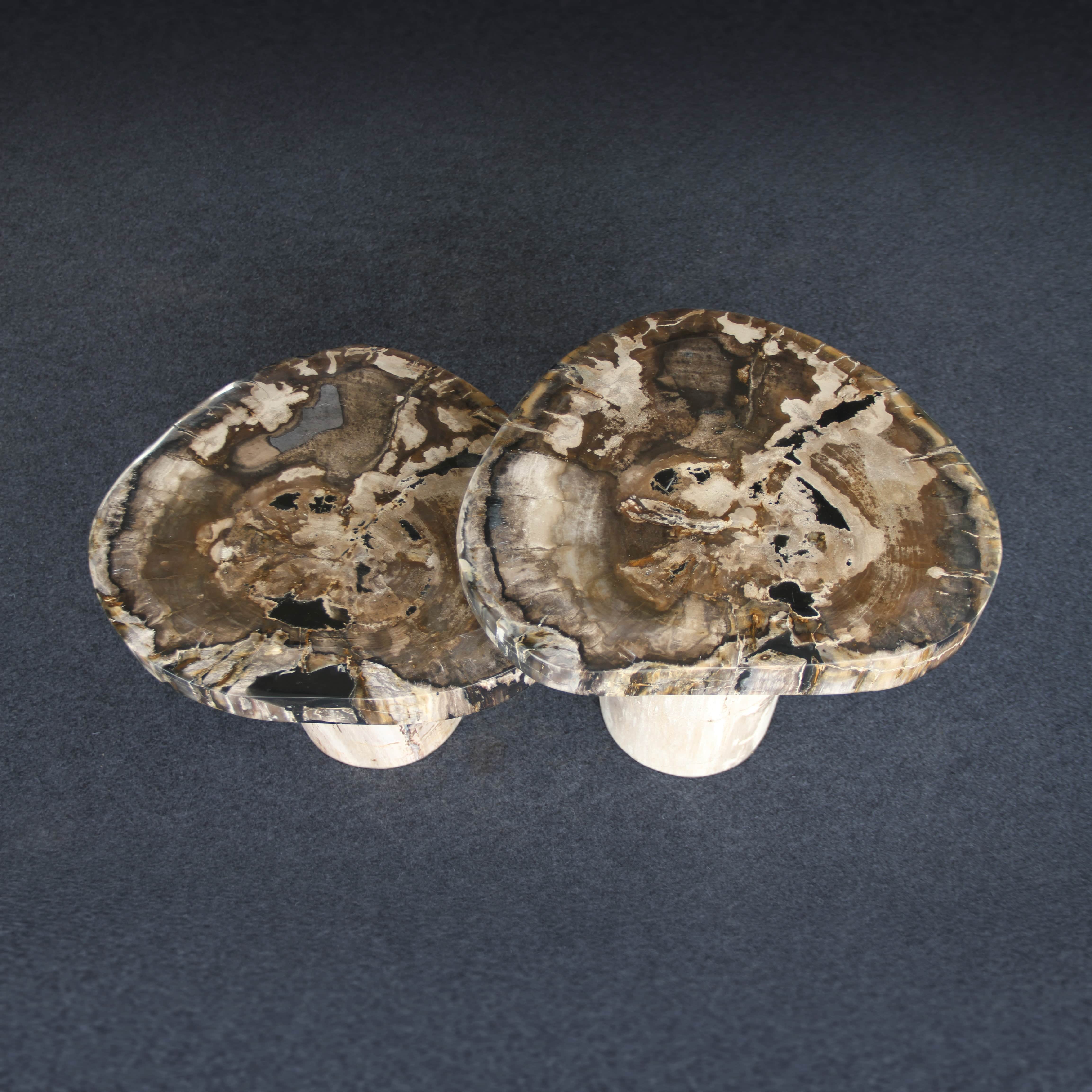 Kalifano Petrified Wood Petrified Wood Mushroom Side (Table A) 15" / 106 lbs PWMT8800.002