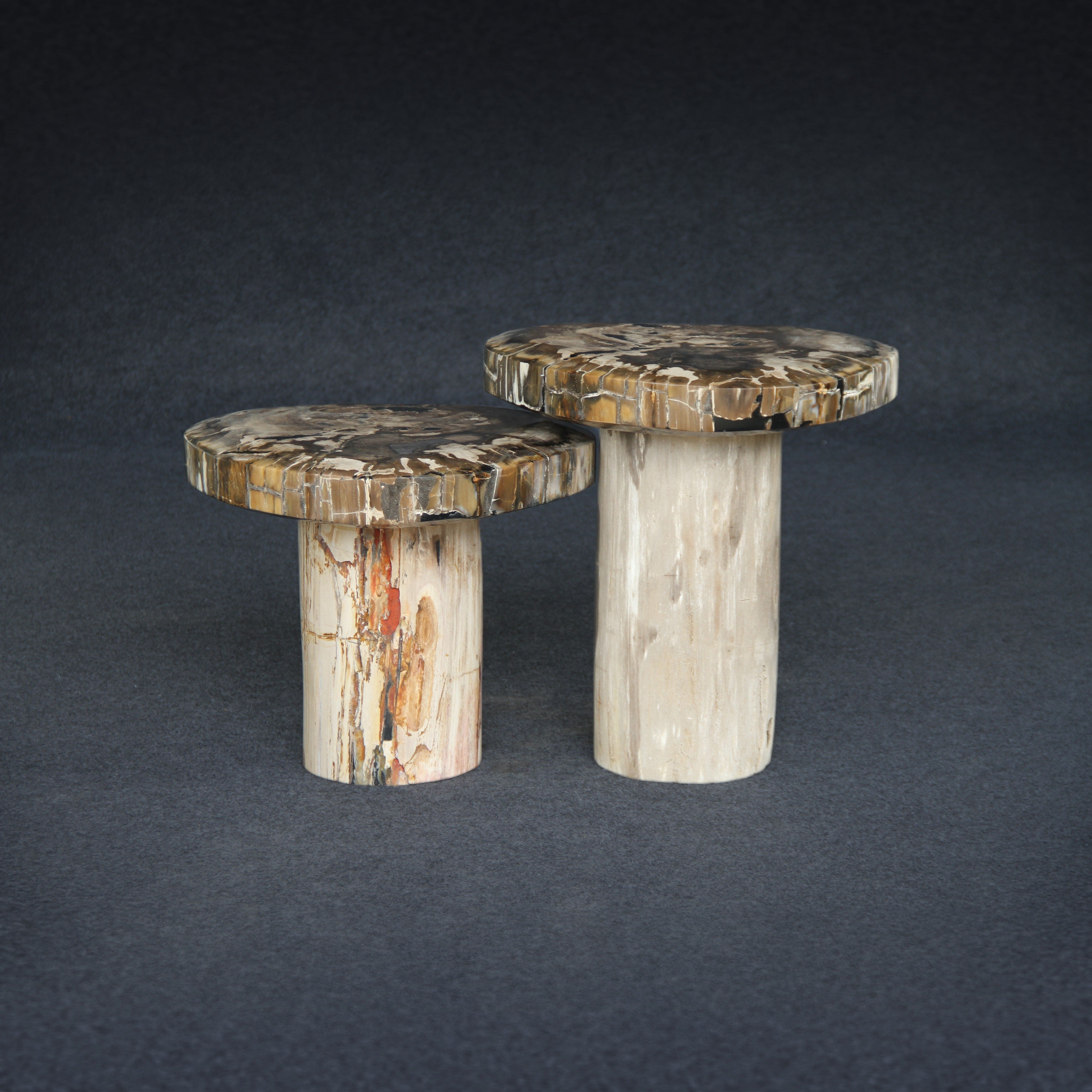 Kalifano Petrified Wood Petrified Wood Mushroom Side (Table A) 15" / 106 lbs PWMT8800.002