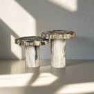 Petrified Wood Mushroom Side (Table A) 15