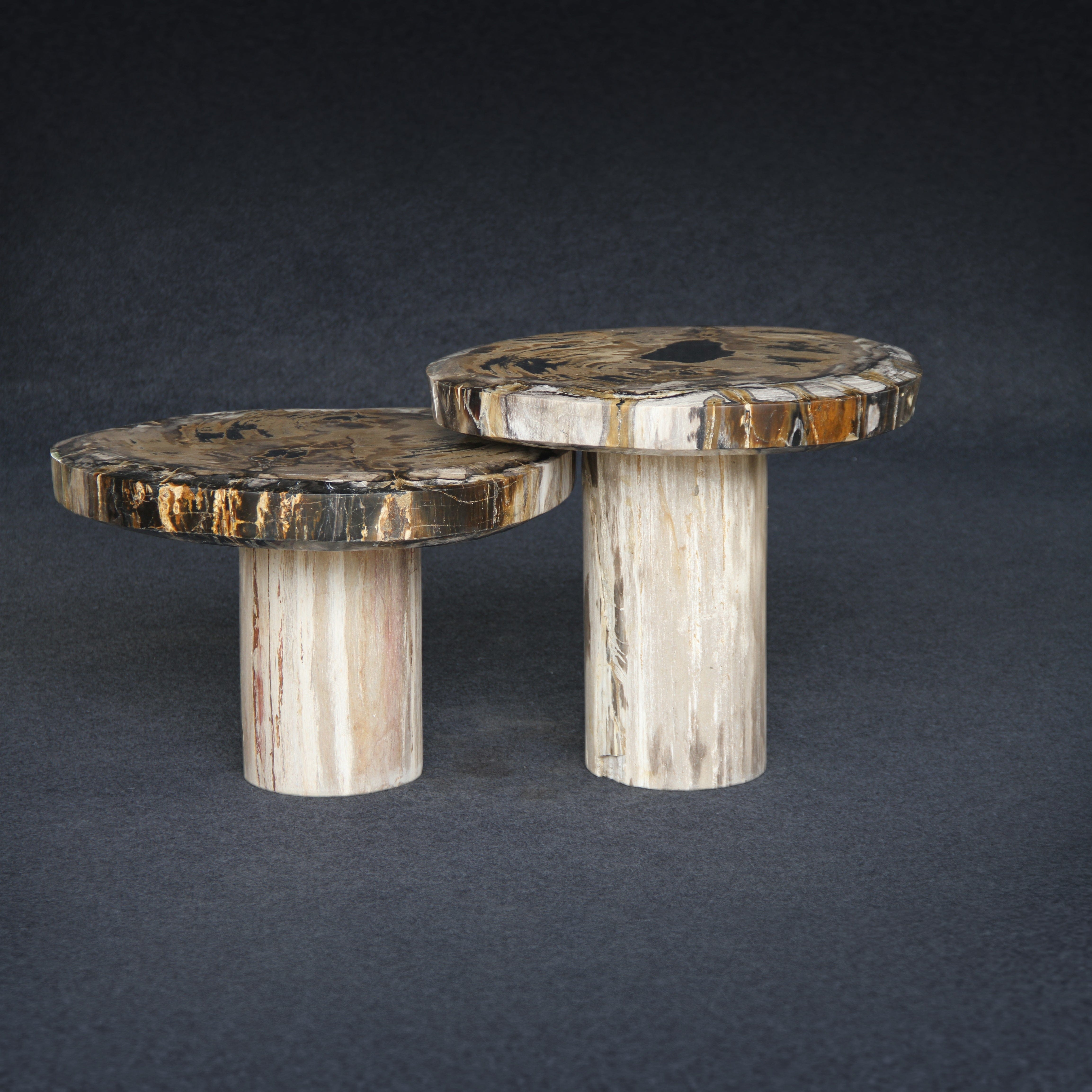 Kalifano Petrified Wood Petrified Wood Mushroom Side (Table A) 15" / 137 lbs PWMT8800.001
