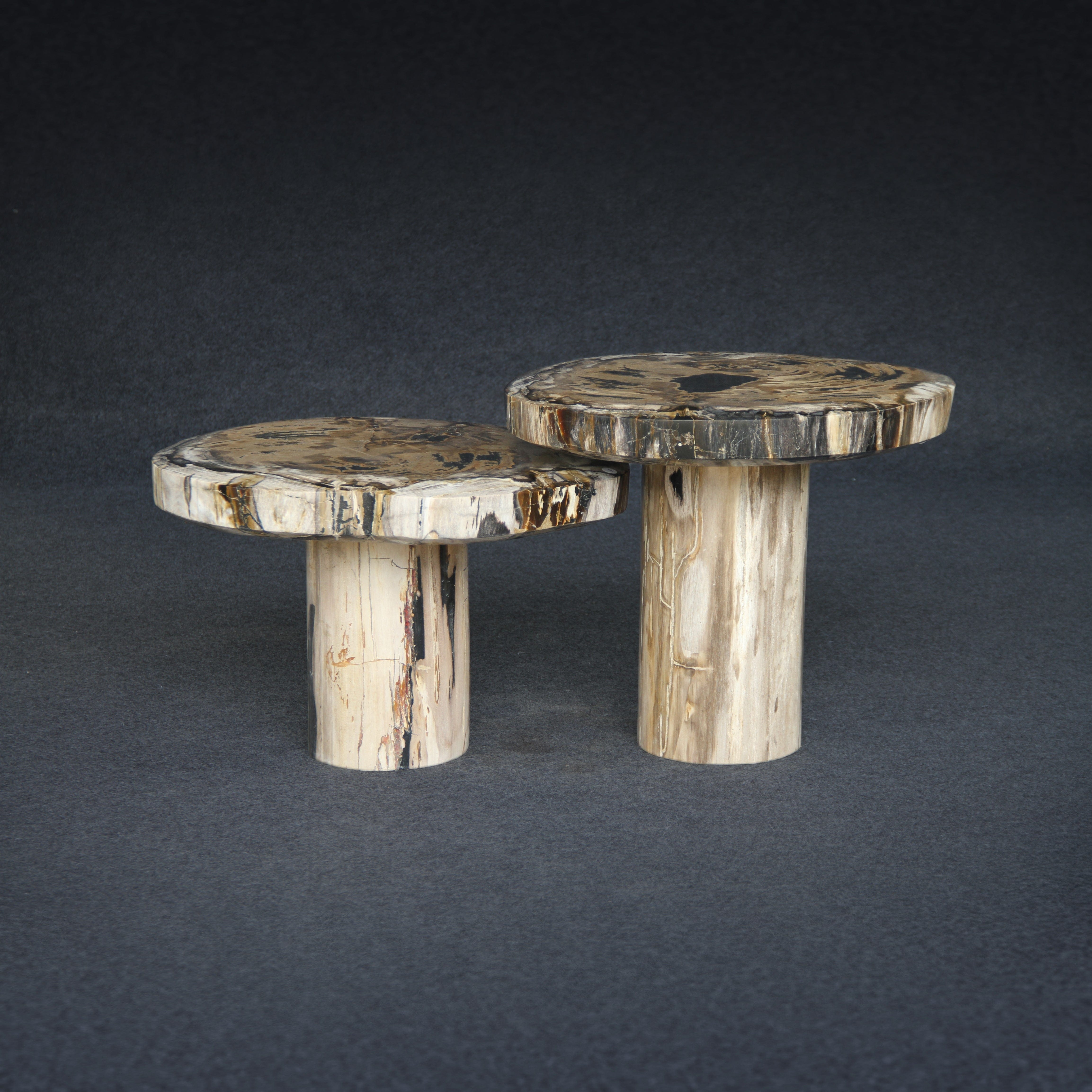 Kalifano Petrified Wood Petrified Wood Mushroom Side (Table A) 15" / 137 lbs PWMT8800.001