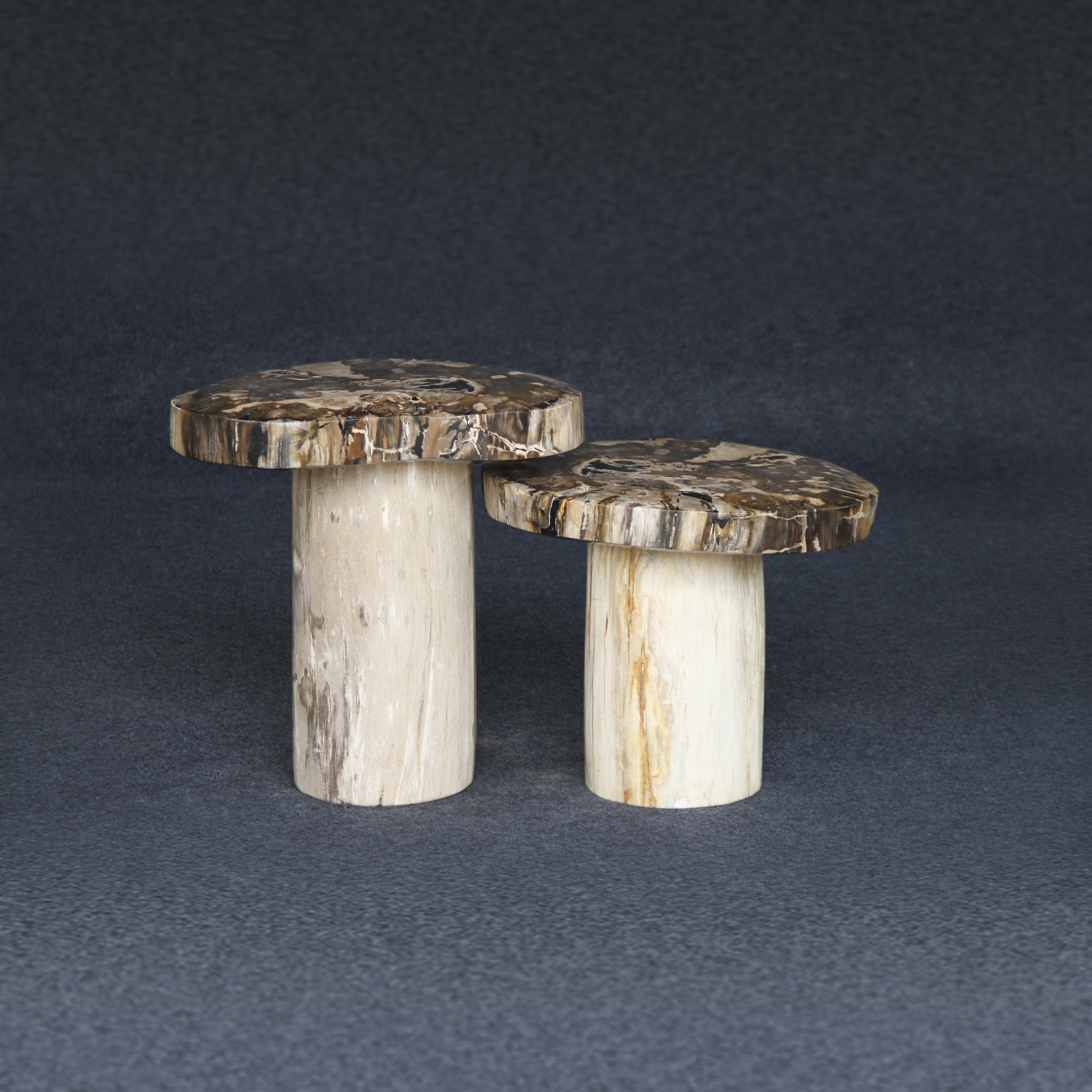 Kalifano Petrified Wood Petrified Wood Mushroom Side (Table A) 19" / 115 lbs PWMT8800.005