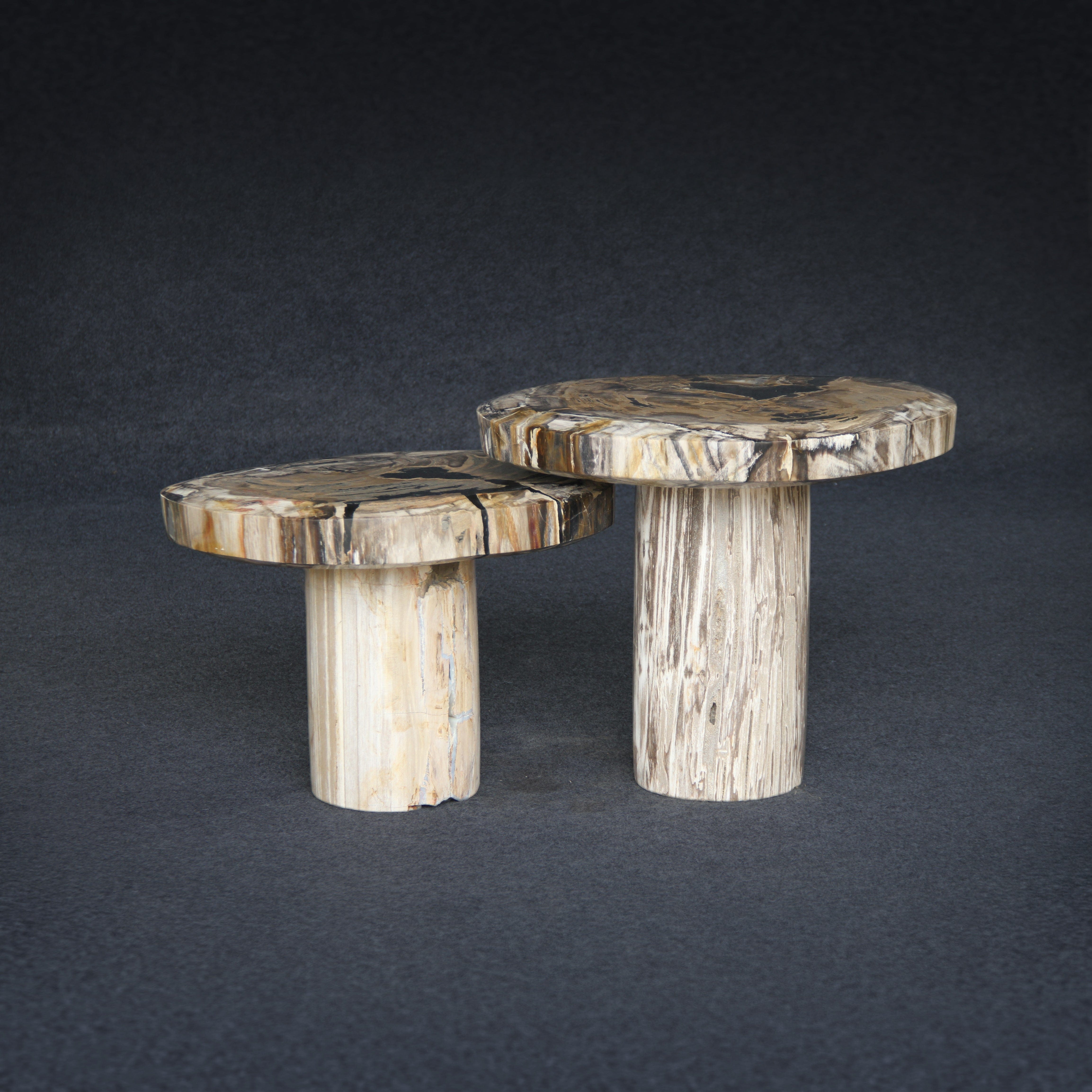 Kalifano Petrified Wood Petrified Wood Mushroom Side (Table A) 19" / 117 lbs PWMT8800.003